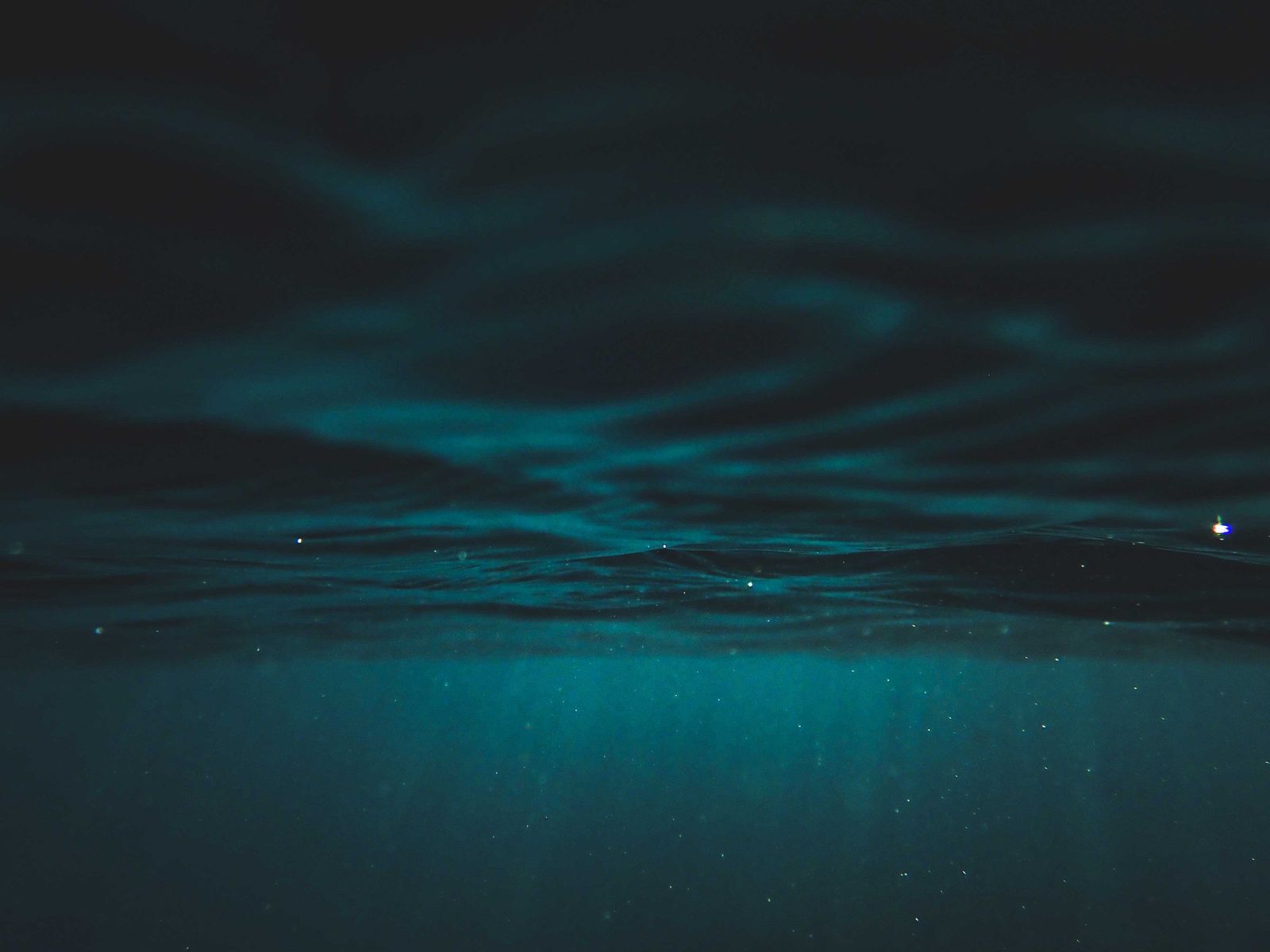 The deepest point in the ocean, Challenger Deep in the Mariana Trench, sits nearly 11 kilometres below the surface — a depth so extreme that if Everest were dropped into it, the peak would still be covered by more than two kilometres of water