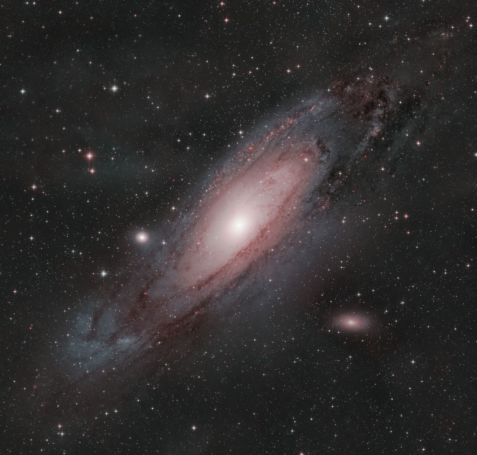 Euclid, the European telescope built to map the dark universe billions of light-years away, spent a single 26-hour stretch staring into the crowded center of the Milky Way and resolved more than 60 million stars, handing NASA's Roman mission a reference map for the planet hunt it begins after launching in late August