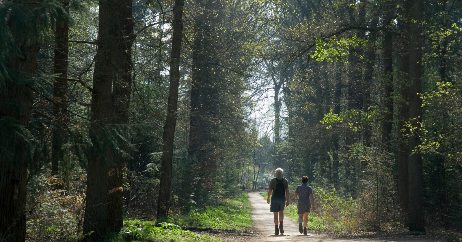 A study of nearly 20,000 people found there's a weekly amount of time in nature linked to real gains in health and wellbeing — and it's probably less than you think