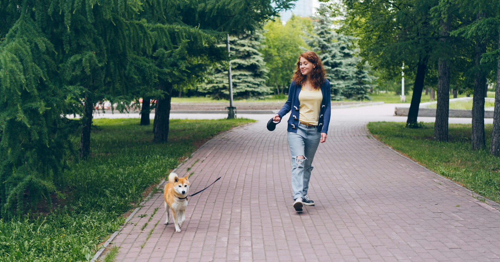 Over ten workdays, researchers sent employees on 15-minute lunchtime walks through a park, and afternoons changed — sharper concentration, less fatigue, with much of the lift carried by how genuinely people enjoyed the walk.