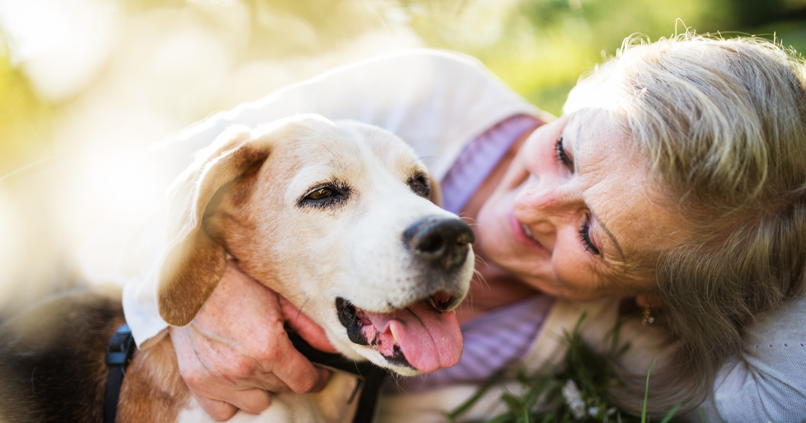 Researchers found dog owners tended to live longer — and the link was strongest for the people you might least expect: those living alone.