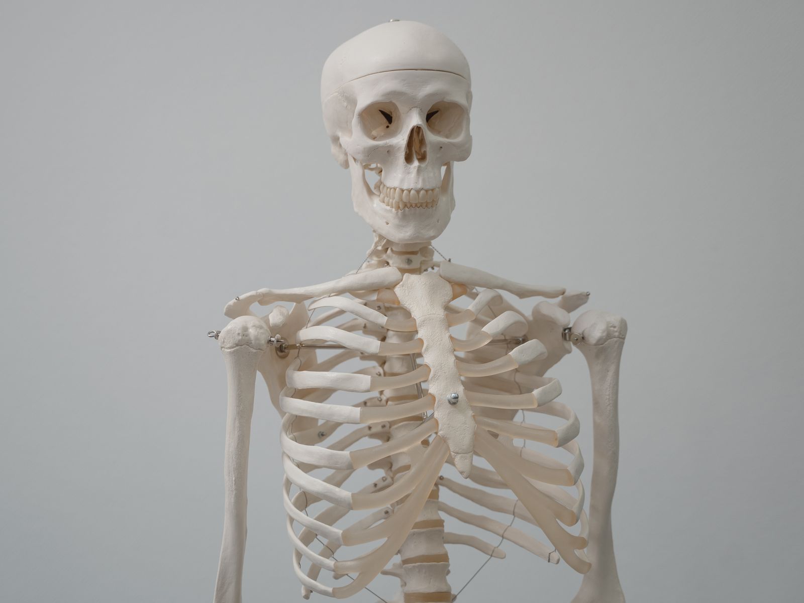 In 2016, Reuters reporters legally purchased two human heads and a cervical spine from a Tennessee broker for $900 plus shipping, and no federal law was broken in the transaction.