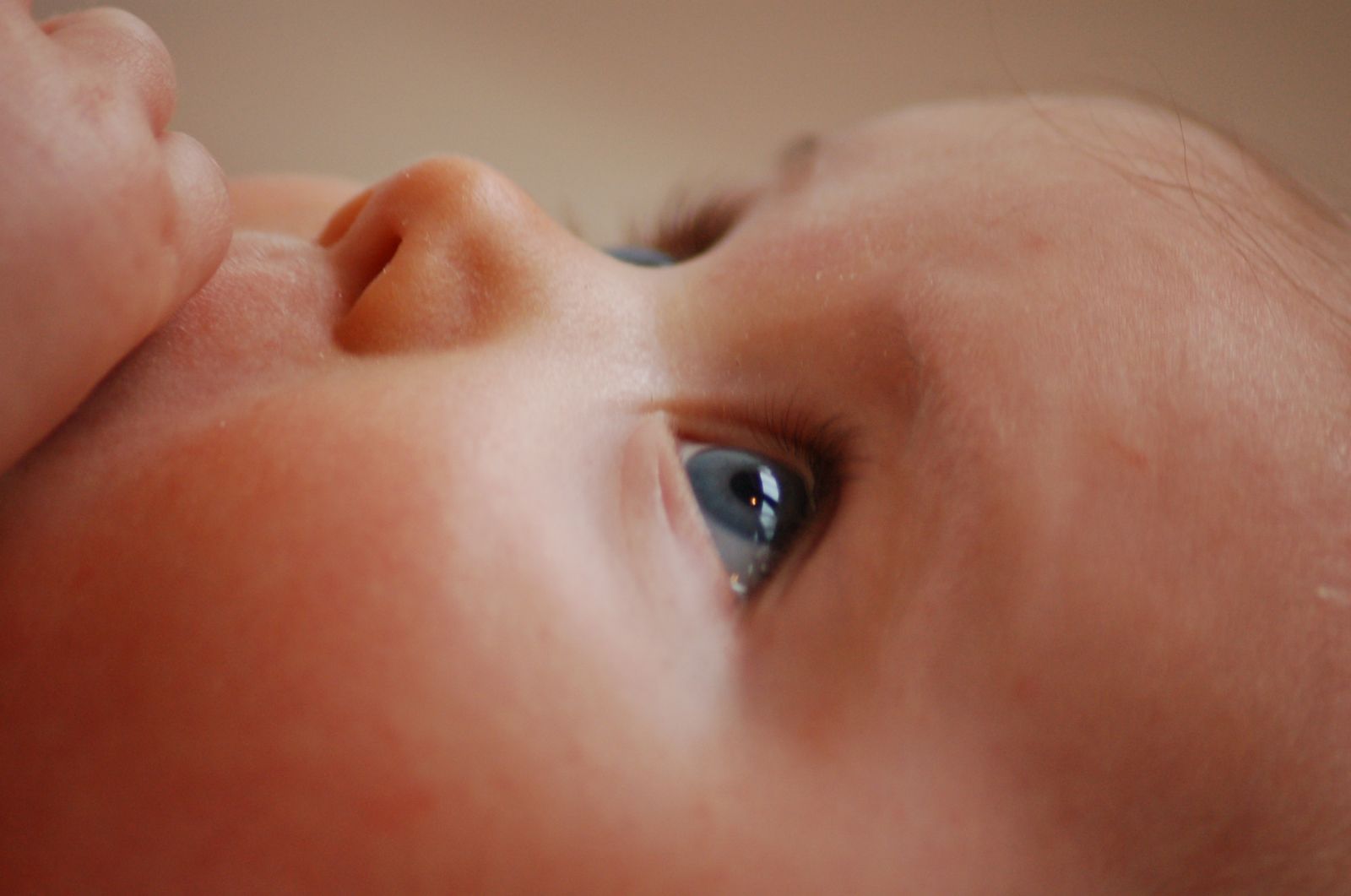 infant still face study