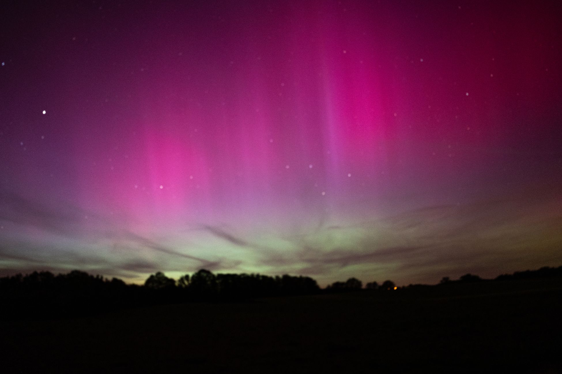 Majestic aurora borealis with vibrant purple hues illuminating the night sky over a silhouetted treeline.