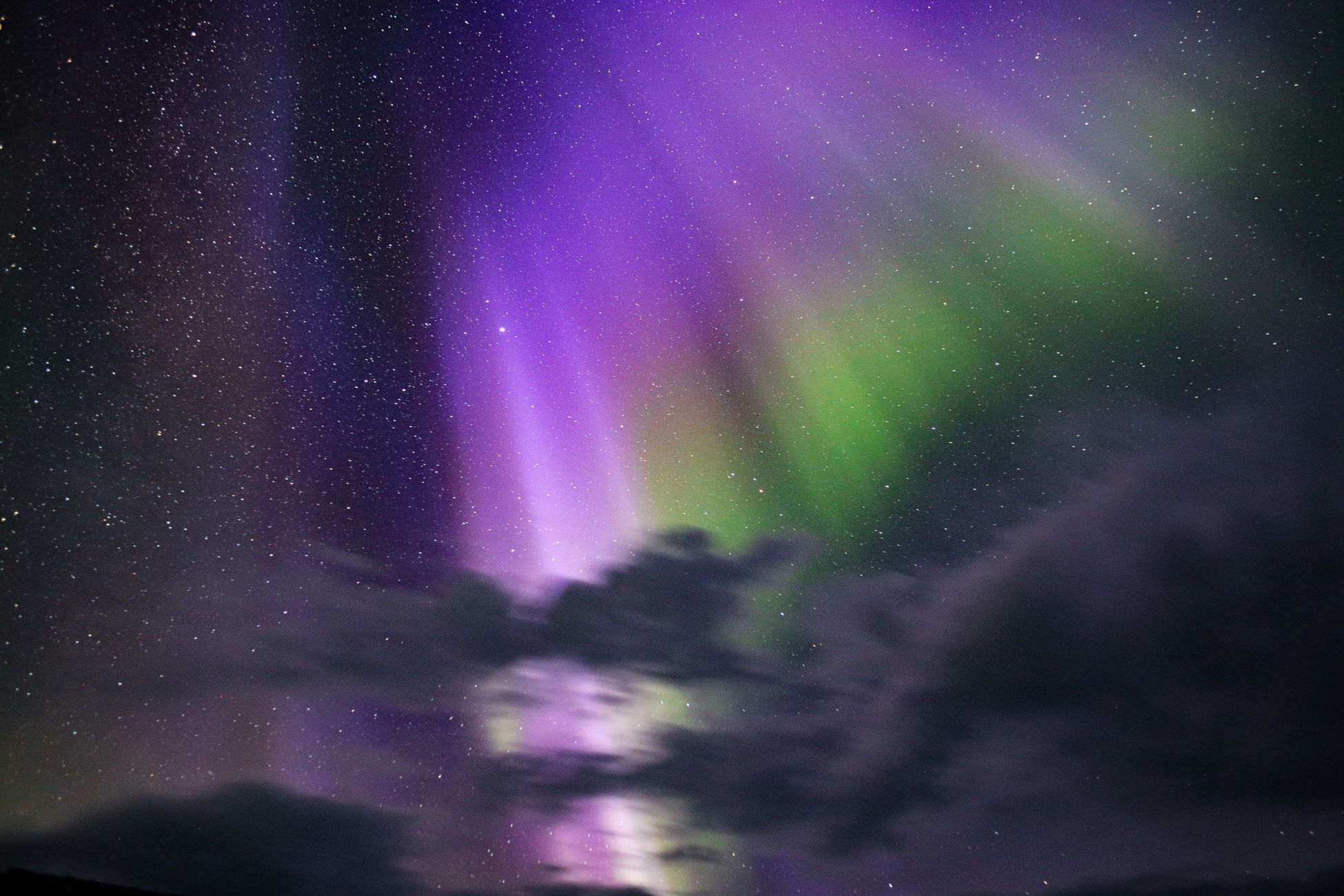 Stunning aurora borealis in vibrant greens and purples against a starry night sky.