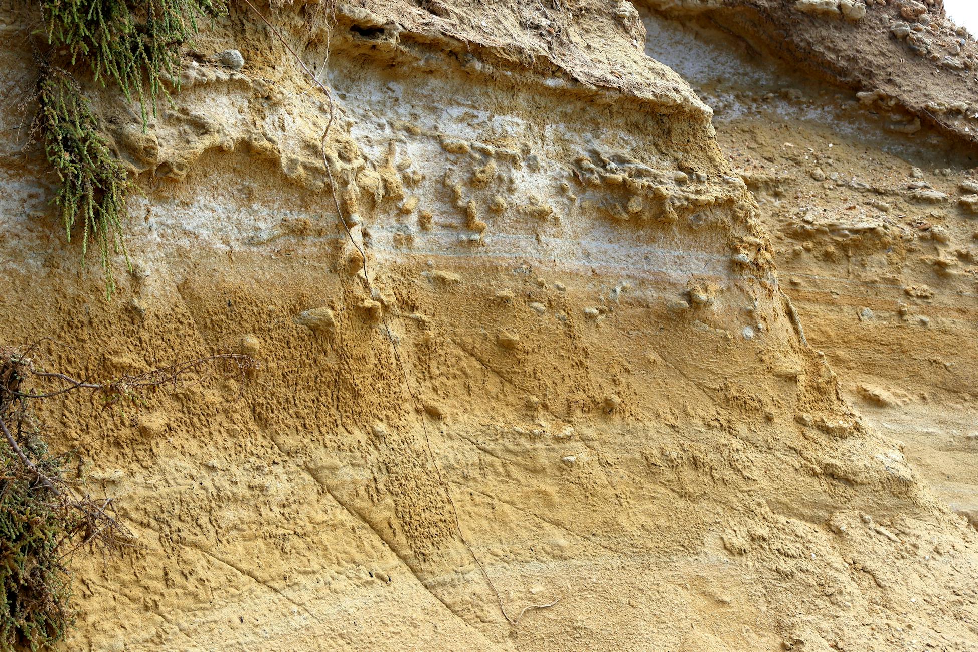 Intricate sandstone cliff detail showing layers and textures of erosion.