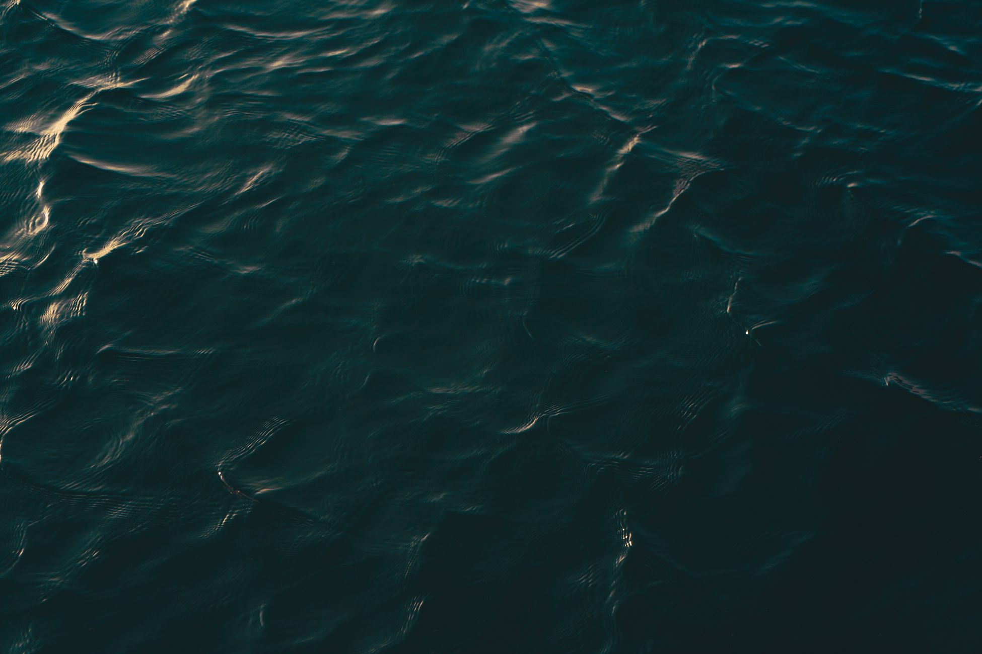 A close-up view of a dark ocean surface with gentle ripples under soft lighting.