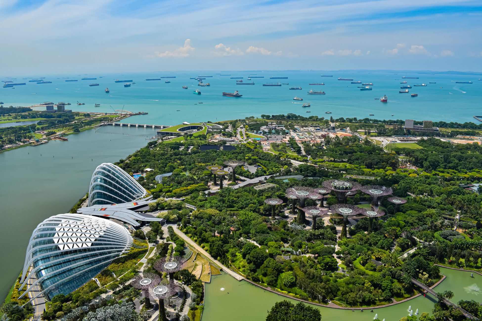 Stunning aerial view of Singapore's Gardens by the Bay with ships in the background.