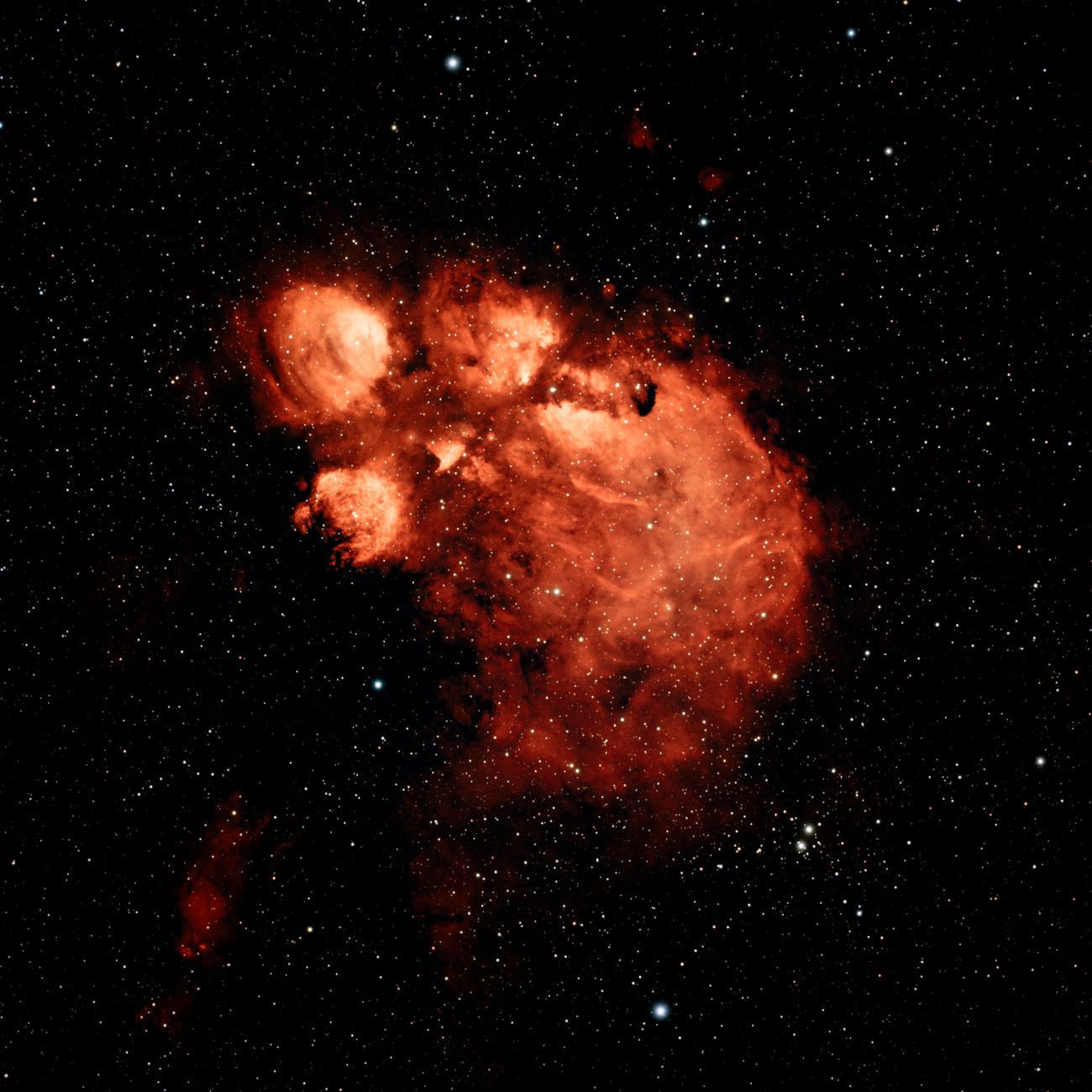 Vivid red nebula captured in vast starry sky, showcasing cosmic beauty.