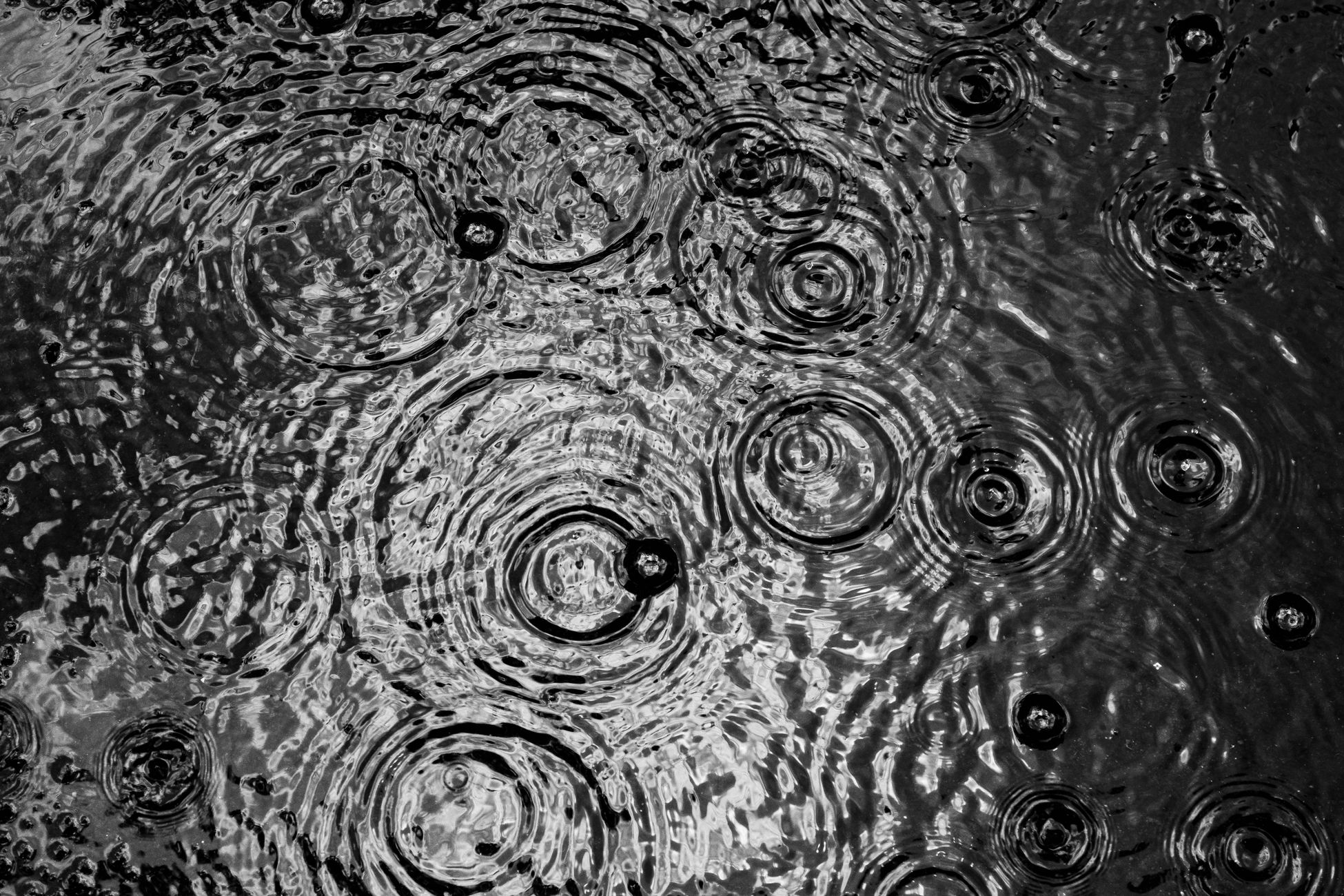 The smell that fills the air during the first rainfall after a dry spell is called petrichor, and it comes from plant oils, soil bacteria, and a molecule the human nose can detect at almost unbelievable concentrations