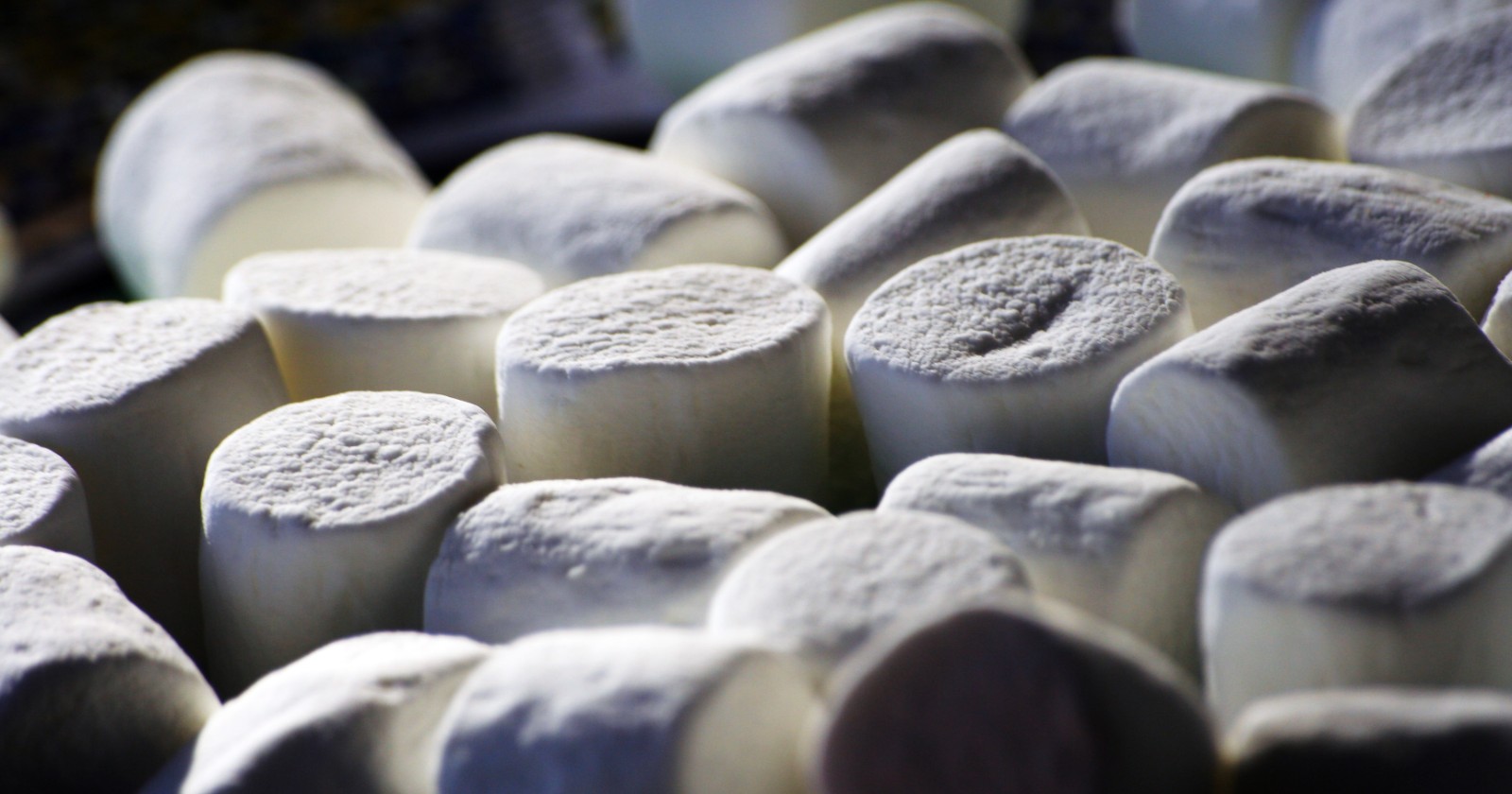 The marshmallow test, redone with ten times as many children, found that a four-year-old's willpower mostly stopped predicting teenage success once family background was taken into account
