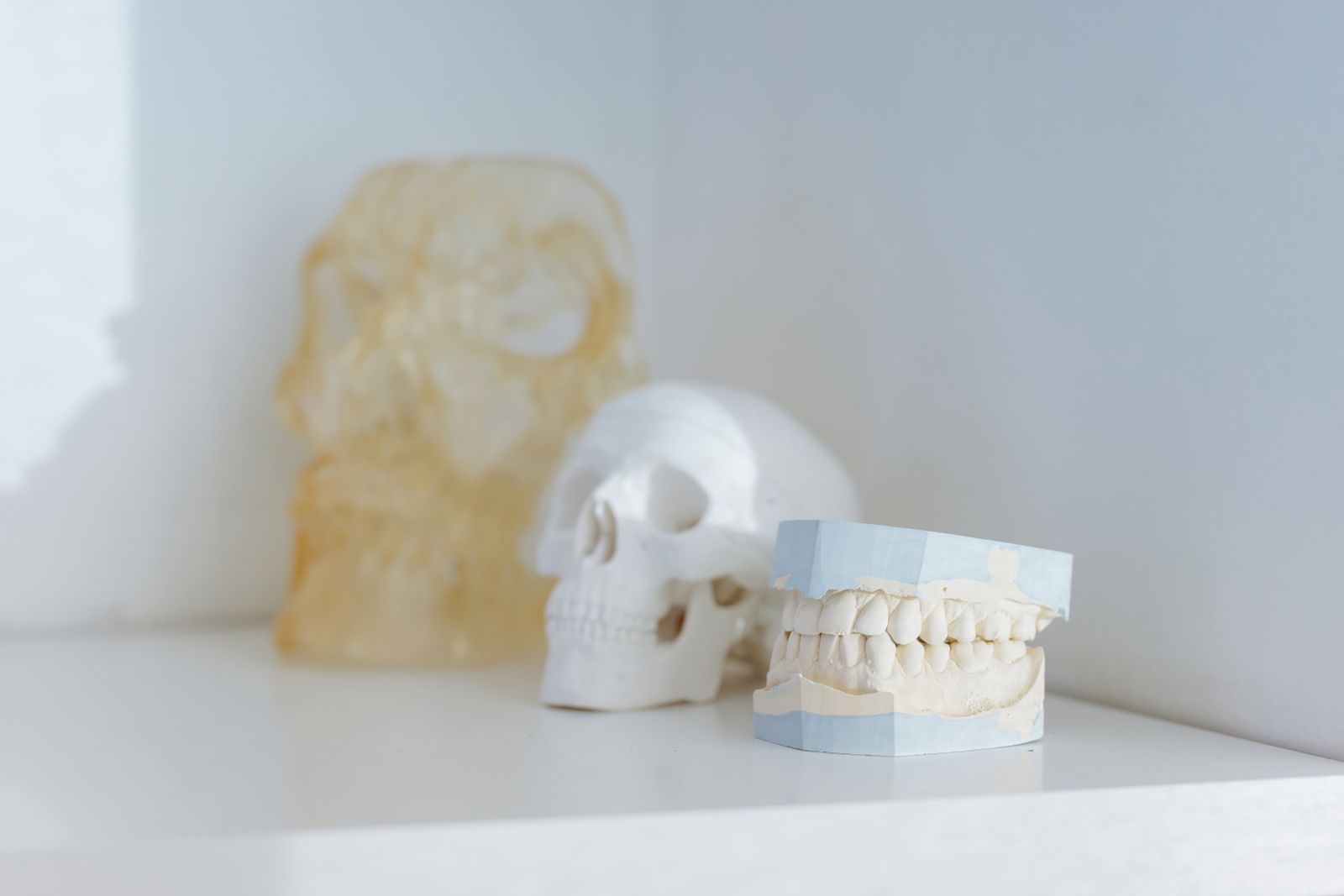 medical training skull