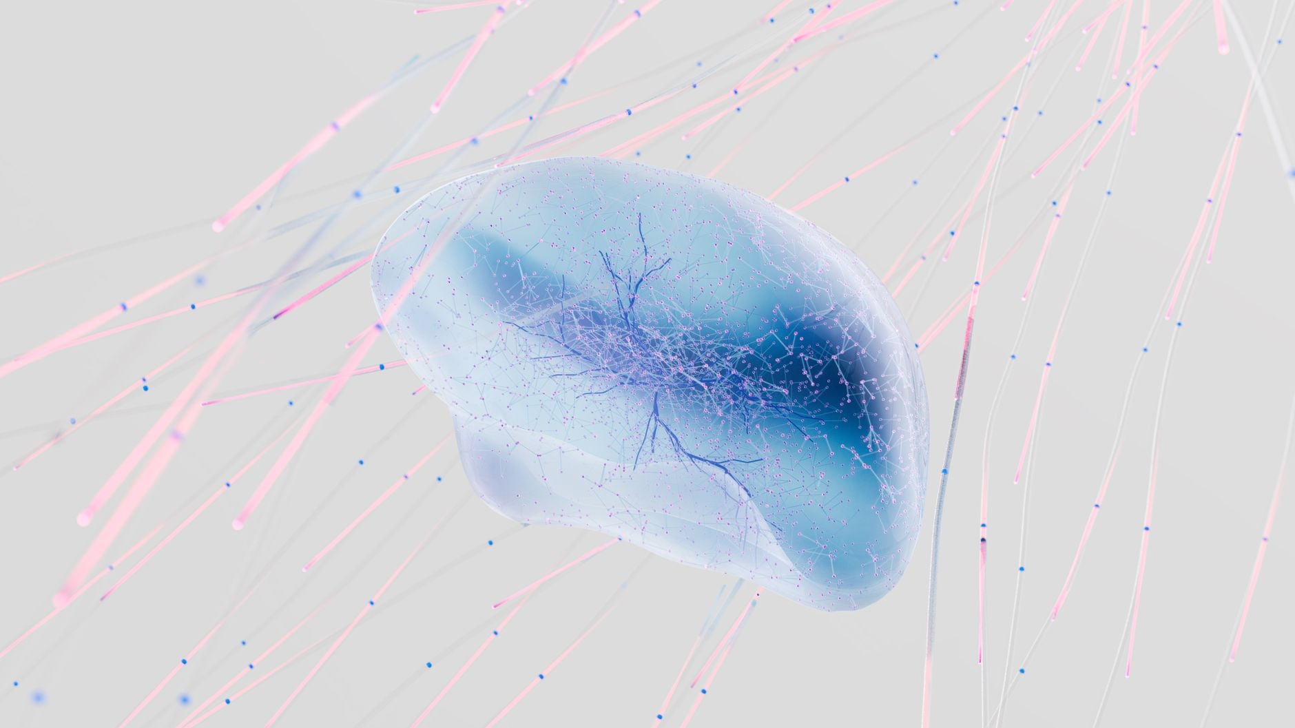 In January 2026, scientists reported that the human brain processes spoken language in a sequence that closely mirrors the layered architecture of advanced AI language models — suggesting that biological brains and artificial networks may build meaning through surprisingly similar step-by-step computations.