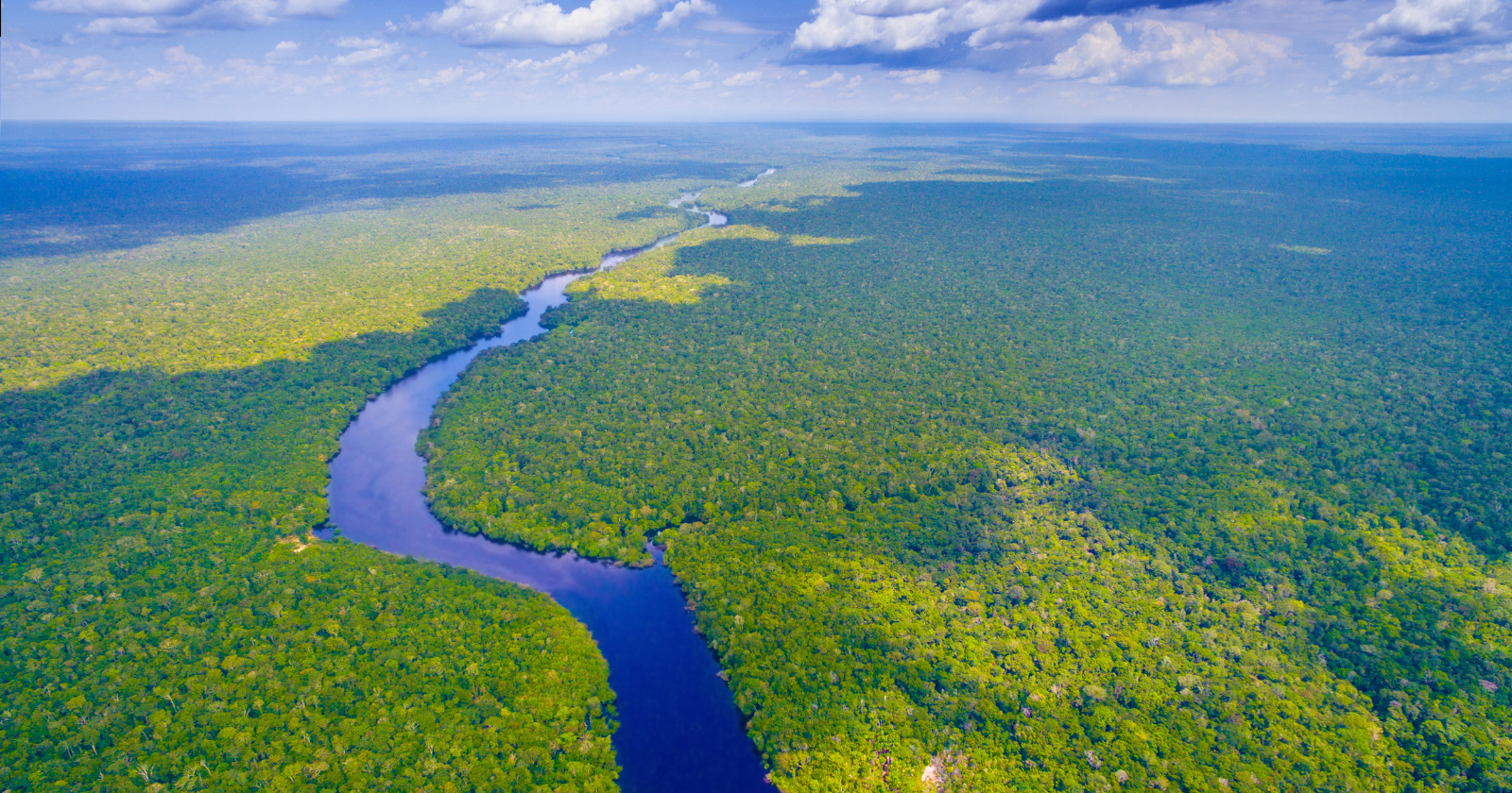 The Amazon’s ancient drainage system once ran the other way, carrying water and sediment westward across South America before the rise of the Andes, shifting land levels, and massive sediment buildup helped turn it into the east-flowing river we know today.