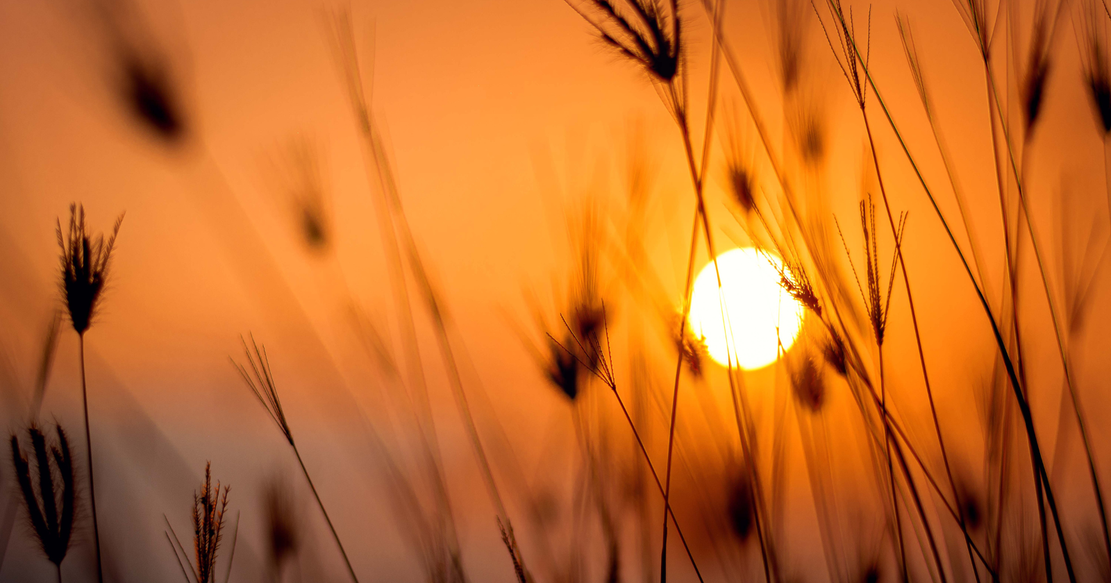 If the Sun vanished this instant, we would carry on in full daylight for about eight minutes and 20 seconds before anything seemed wrong, because that is how long its light takes to reach us