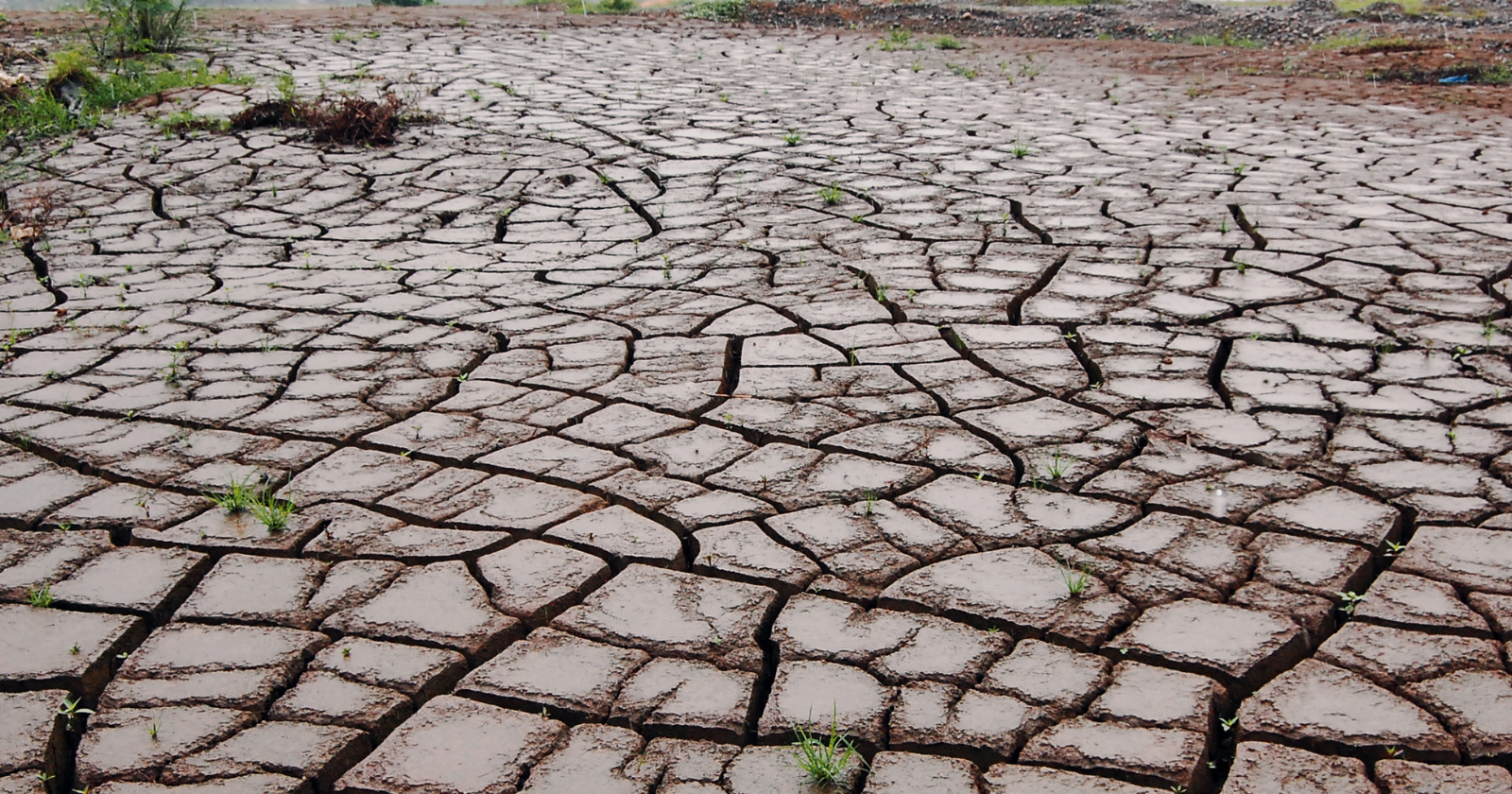 Forecasters say a strong El Niño is building again in the Pacific, and the rest of the world tends to feel it months later as heatwaves, failed harvests and rainfall landing in all the wrong places