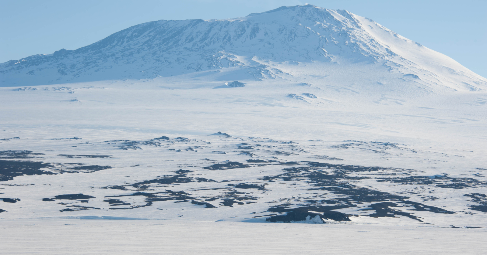Antarctica is the largest desert on the planet, because a desert is defined by how little water falls from the sky rather than by heat, and almost nothing falls on the frozen continent.