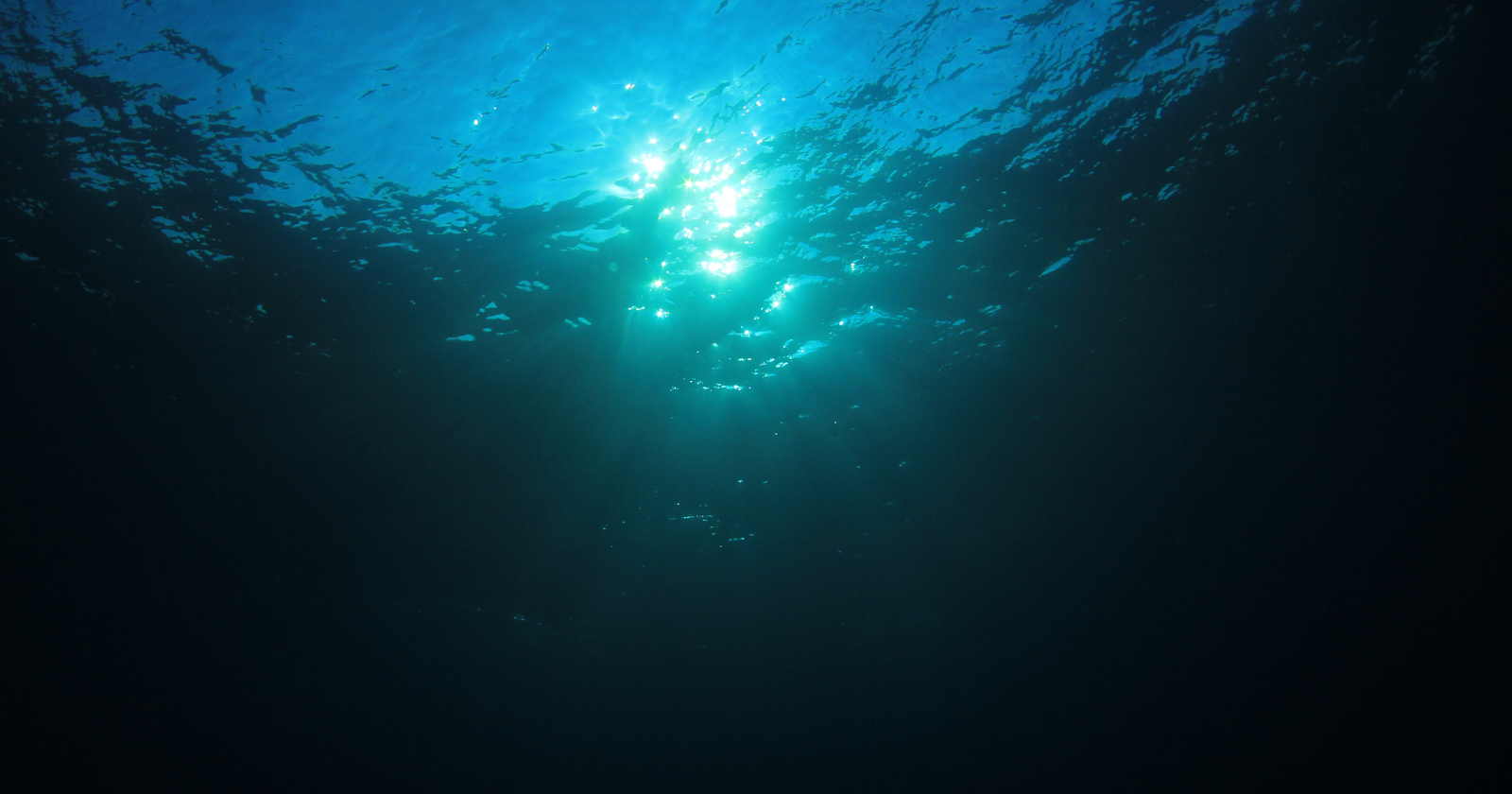 Scientists long thought life in the deepest ocean trenches depended mostly on scraps of sunlight-fed life drifting down from above — but at 9,500 metres beneath the Pacific, researchers found whole communities of tubeworms and clams powered instead by methane and hydrogen sulfide seeping from cracks in the seafloor.