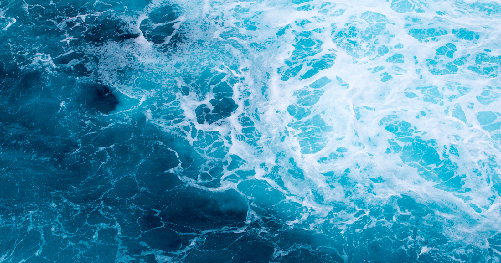 Nearly all of the internet's international data — the messages, calls, and searches that cross continents — travels through fibre-optic cables laid on a seafloor that has never been fully surveyed, running over terrain no human eye has seen