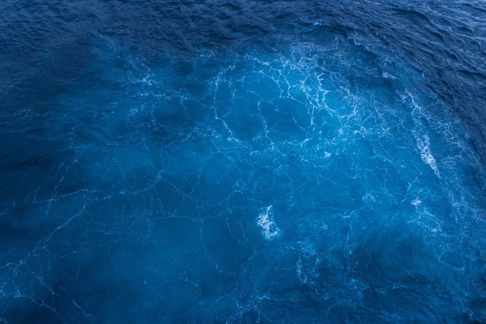 The ocean produces roughly half of Earth’s oxygen — not the rainforest, which uses up most of what it makes — through photosynthesis by phytoplankton, microscopic marine organisms so abundant that a single teaspoon of seawater can contain as many as a million of them.