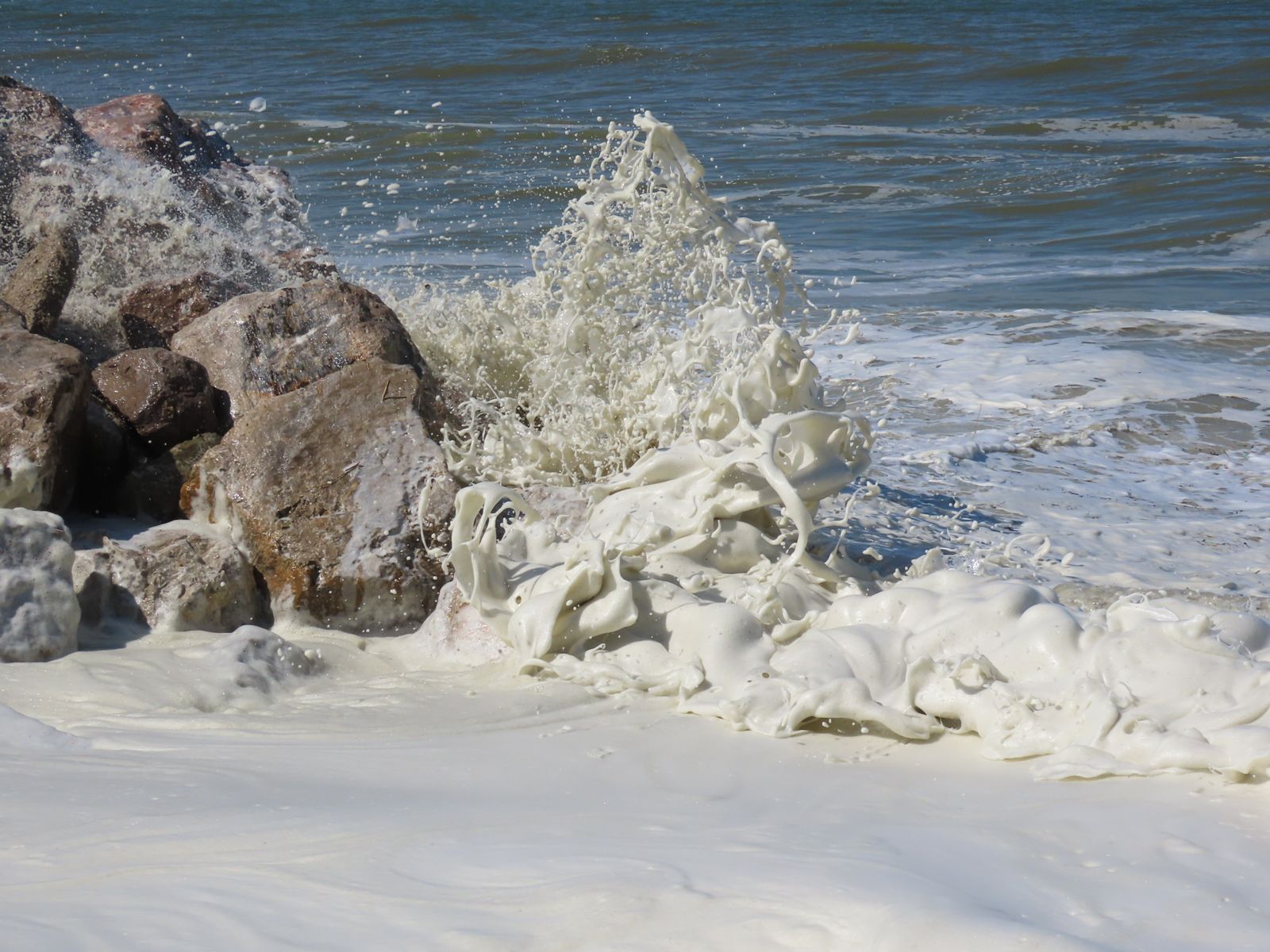 The smell of the ocean — that sharp, clean scent people travel thousands of kilometres to breathe — is not salt, which has no real smell, but partly dimethyl sulphide: a sulfur gas released when compounds made by microscopic marine algae are broken down by bacteria, death, and grazing in the sea.