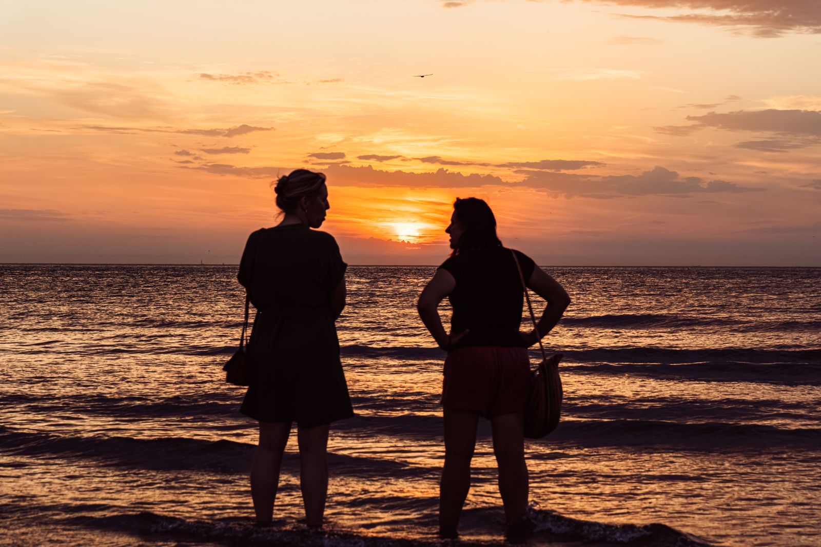 silhouette conversation two people