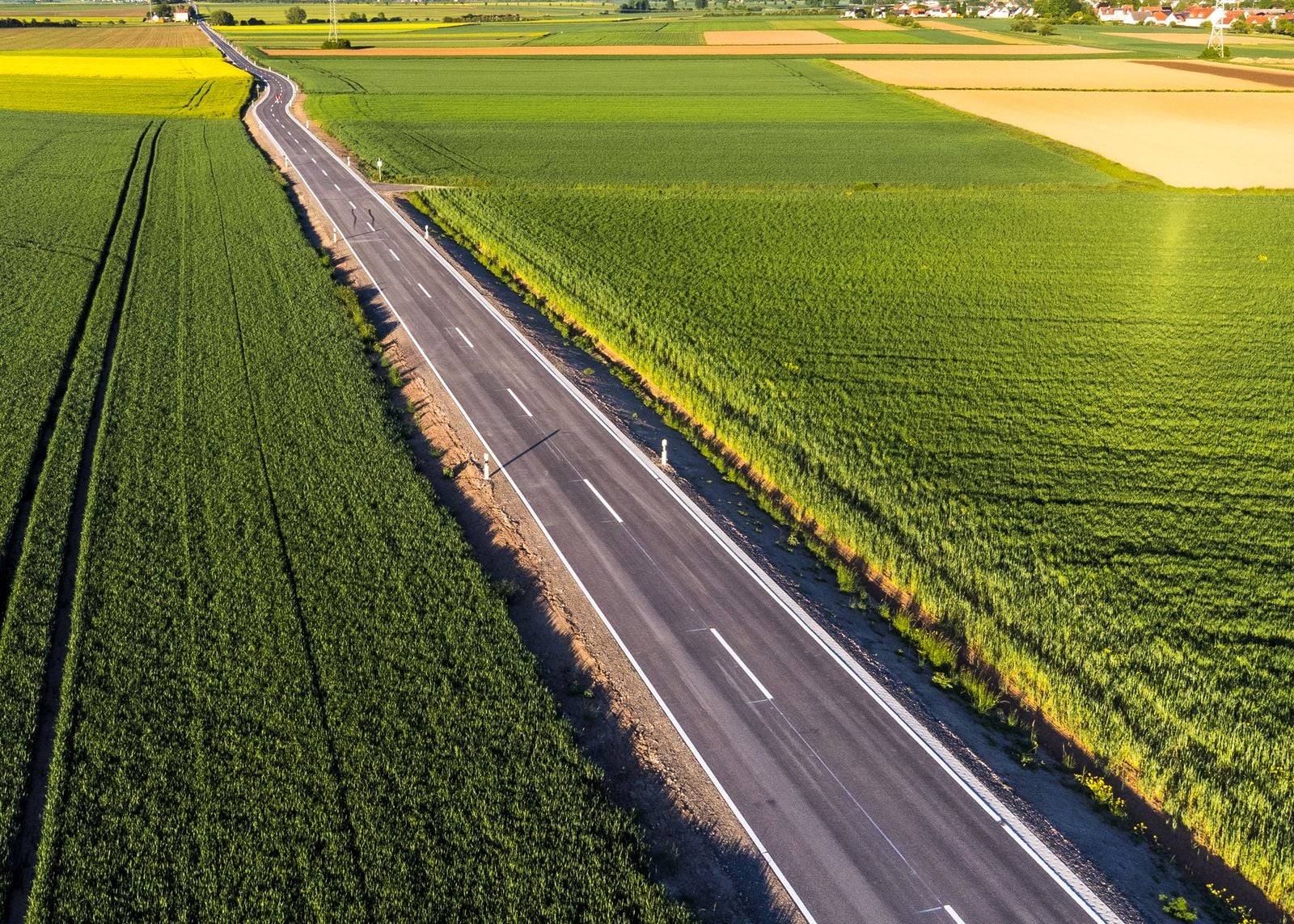 wheat field fertiliser