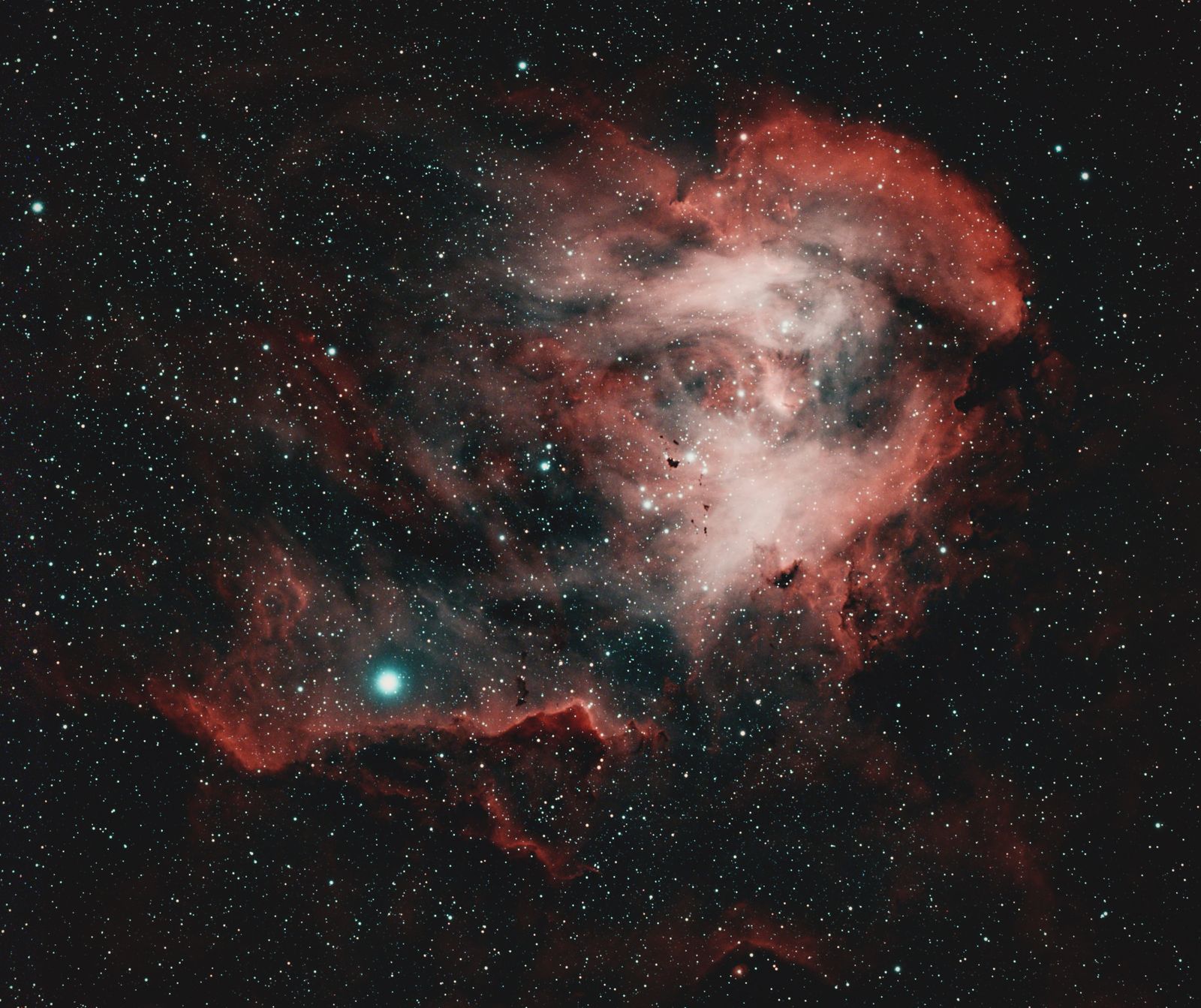 young exoplanet formation