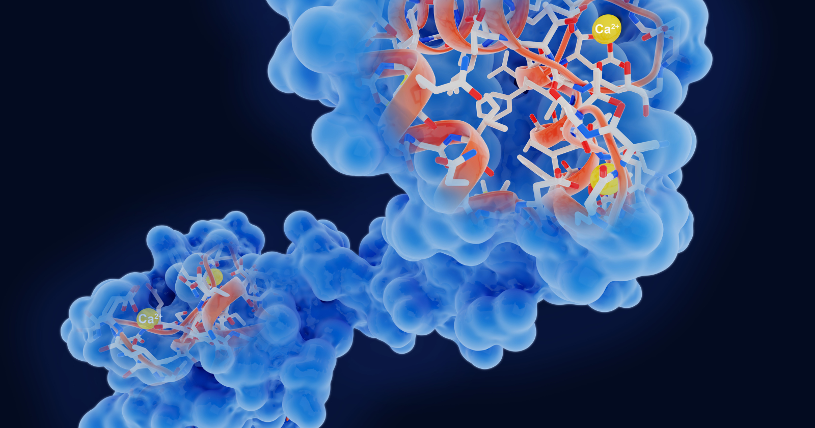 Researchers tested an engineered enzyme on donated skin tissue and brought its chemical aging markers down to levels typically seen in 31-year-old skin, a separate test on a 75-year-old donor's arteries cut the same damage by more than seventy percent