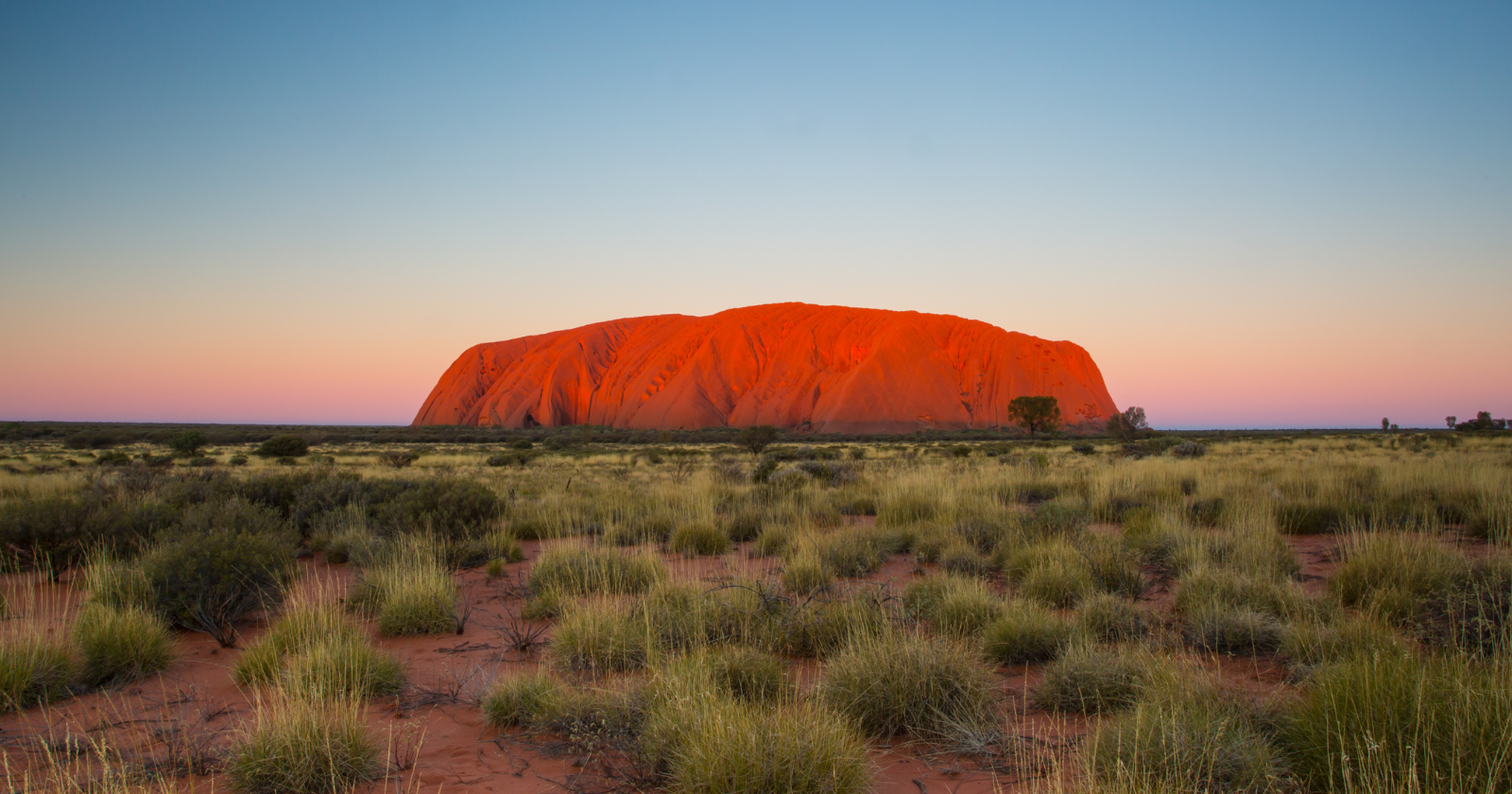 An Aboriginal Australian people of northern Queensland speak a language with no words for left or right — only for north, south, east, and west — so instead of asking you to move your left foot, they will ask you to move your east foot, and can point due north almost without thinking