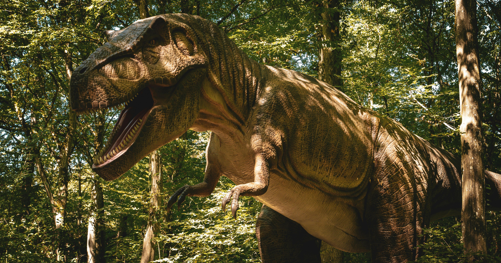 A T. rex unearthed in South Dakota could sell for up to $30 million at auction — and scientists fear that if a private collector buys it, one of Earth’s rarest records may disappear from research