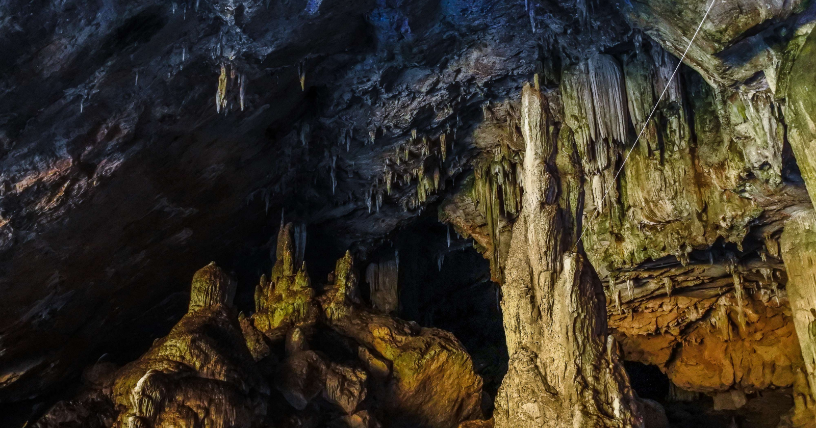 Eighteen metres under a field in Romania sits a cave whose air no human can breathe for long — no light, a fraction of the oxygen up top, thick with the rotten-egg reek of hydrogen sulphide — and yet it holds dozens of pale, eyeless species that have fed on poison in total darkness for as long as five and a half million years