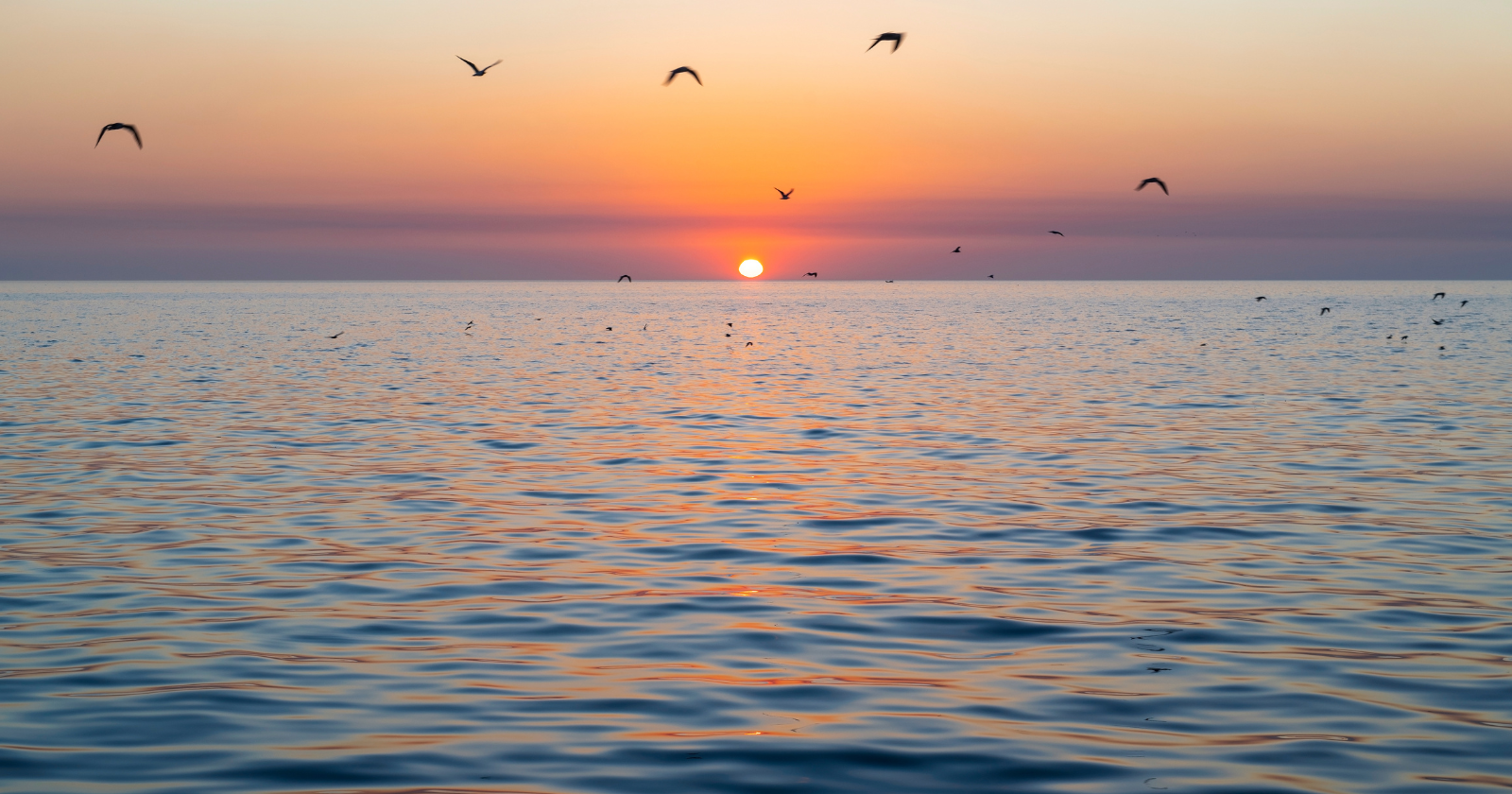 At the bottom of the Gulf of Mexico, a thousand metres down, lies a lake so lethal its discoverers named it the Jacuzzi of Despair — a pool of brine so dense it will not mix with the sea around it, its floor lined with the pickled remains of nearly everything that swims into it.