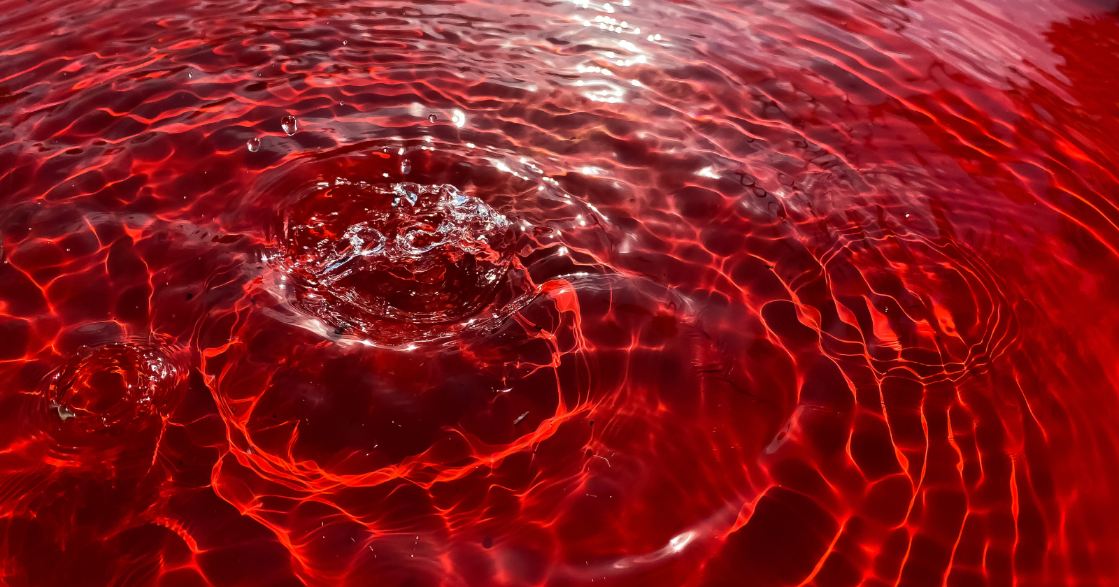 On a glacier in Antarctica there is a waterfall that appears to bleed — a slow ooze of deep red spreading across the white — and the truth beneath it is stranger than the sight: a reservoir of ancient brine, sealed under the ice for an age still argued over, staining red the instant its iron meets the air