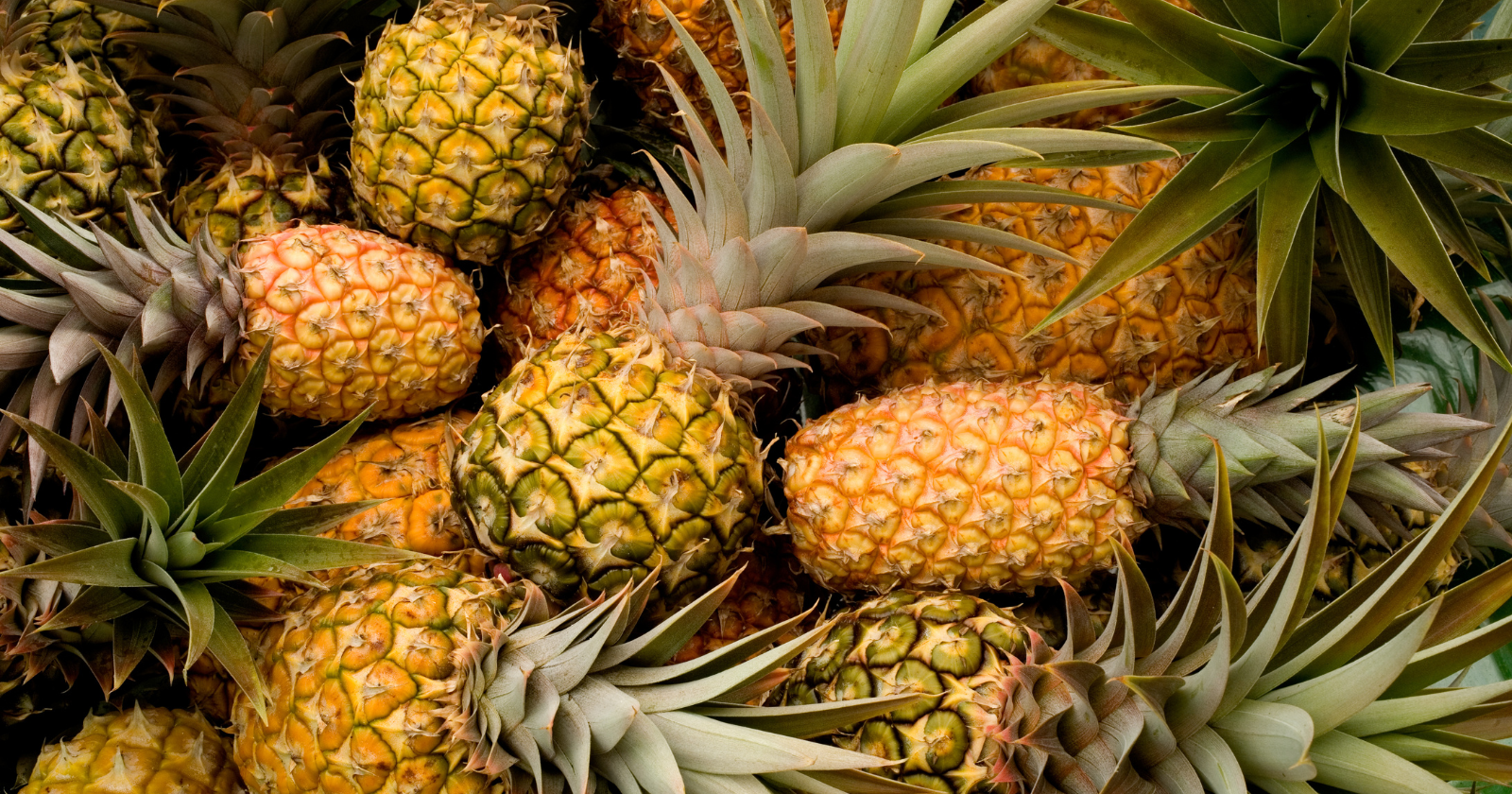 In eighteenth-century Britain a single pineapple could cost the equivalent of thousands of dollars, so rare and coveted that people didn't eat them — they rented them, carrying the same fruit from party to party as a centerpiece to display their wealth