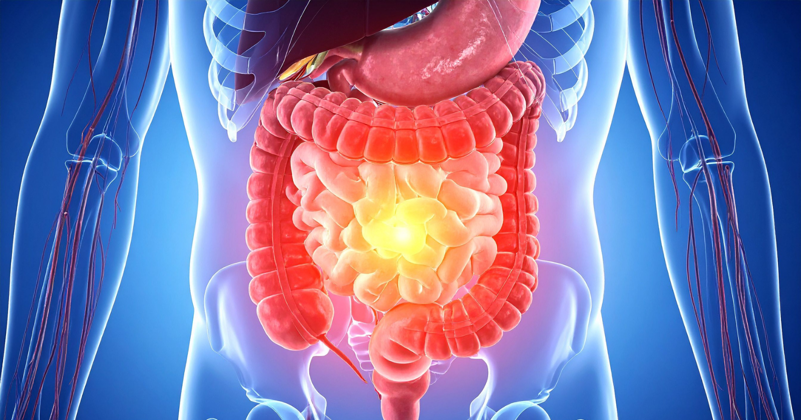 The human gut contains roughly 500 million neurons wired directly to the brain via the vagus nerve — and it registers signals before conscious thought catches up