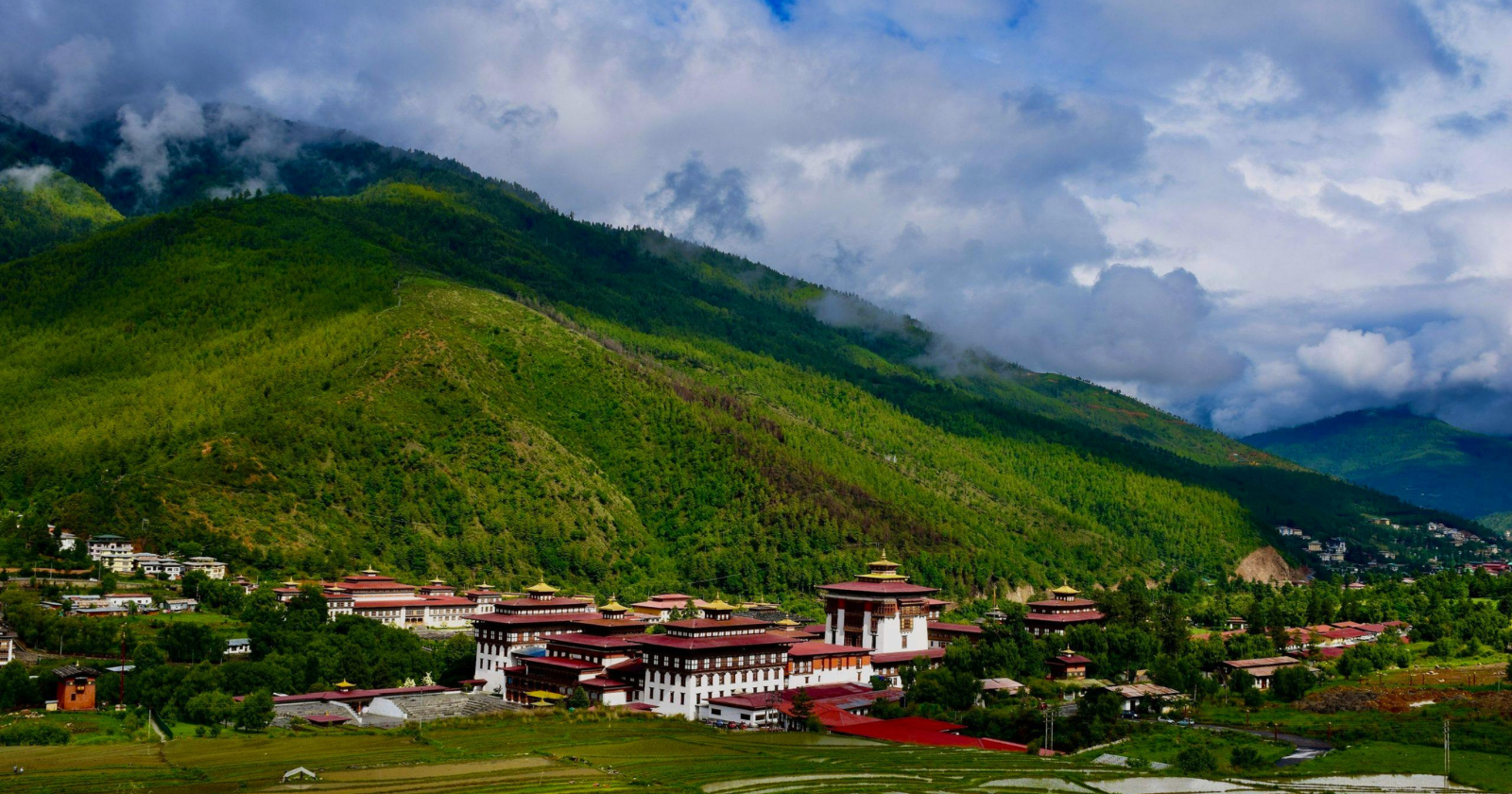 Almost every nation pumps more carbon into the air than it removes, but one small Himalayan kingdom does the exact reverse: Bhutan absorbs more carbon than it emits, a rare carbon-negative country that measures its success by Gross National Happiness