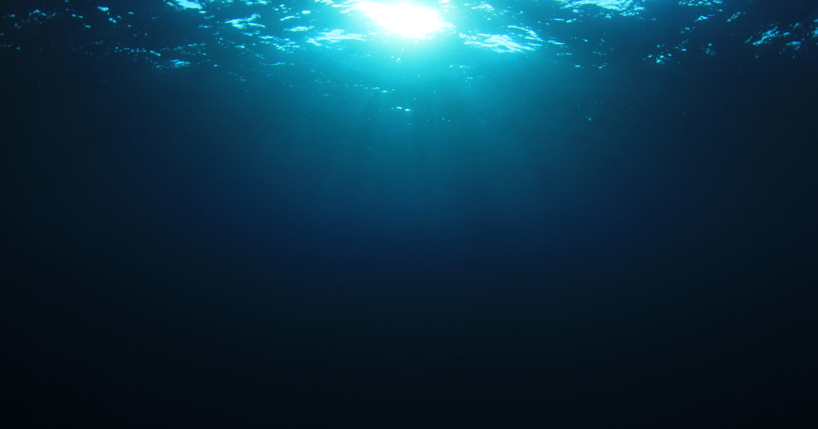 The metal-rich nodules that mining firms hope to hoover off the deep-sea floor grow almost unimaginably slowly — on the order of a few millimetres every million years — so a potato-sized lump can take 10 to 20 million years to reach that size