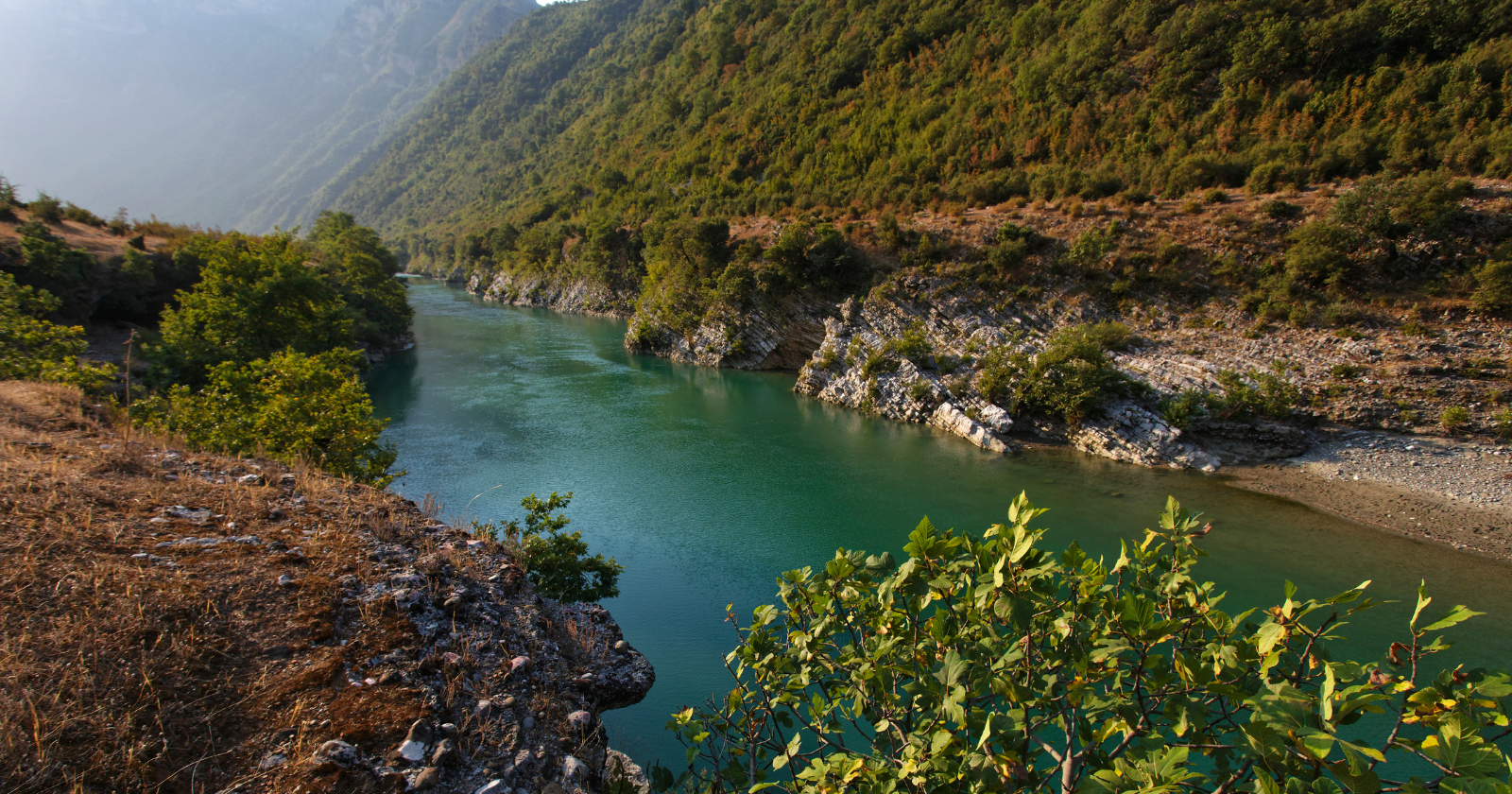 The river that can't be tamed: how one stretch of water in Albania became the last wild river in Europe