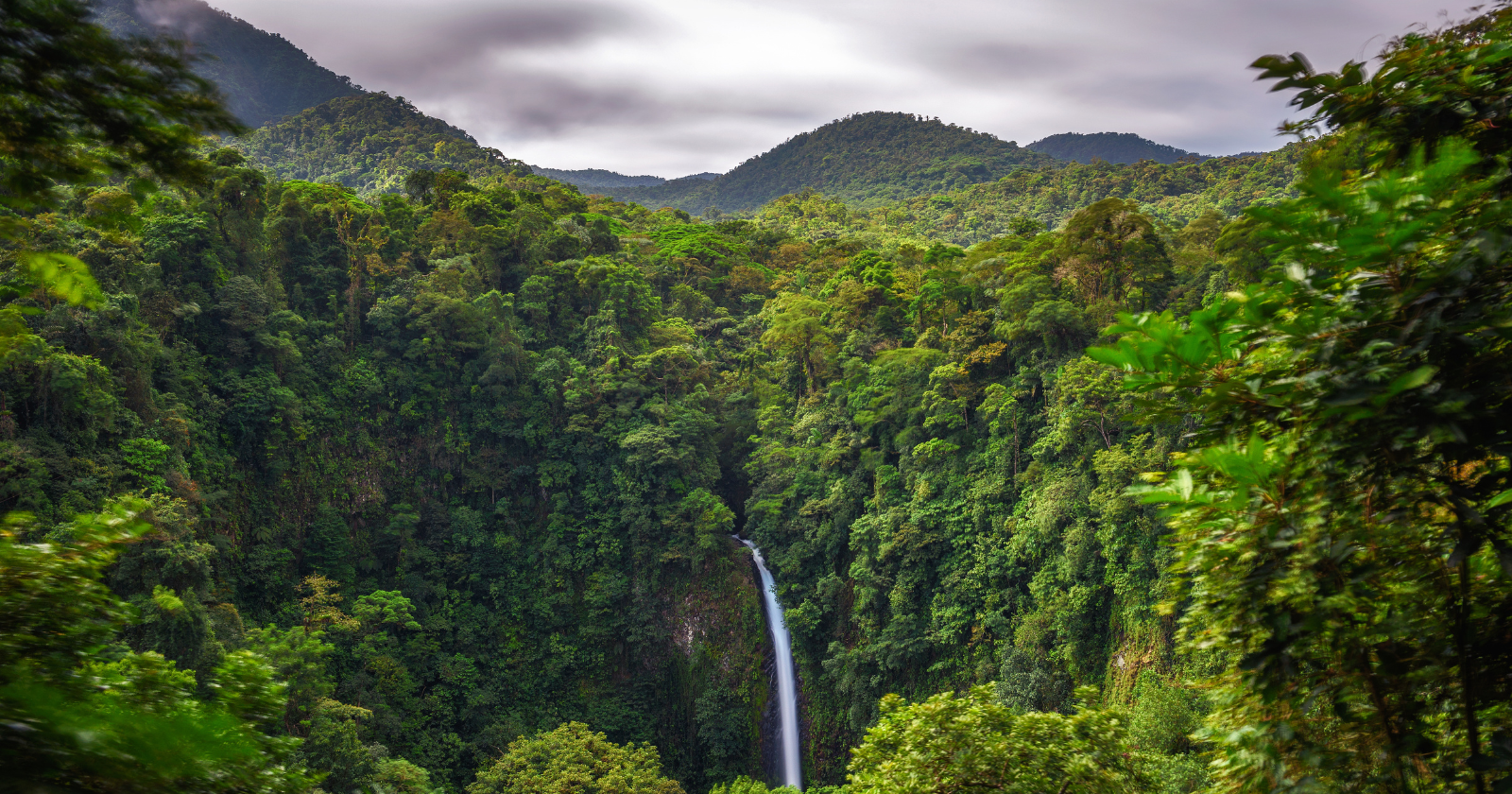 How did a country smaller than West Virginia go from one of the worst deforestation rates on Earth to doubling its forest in a single generation?
