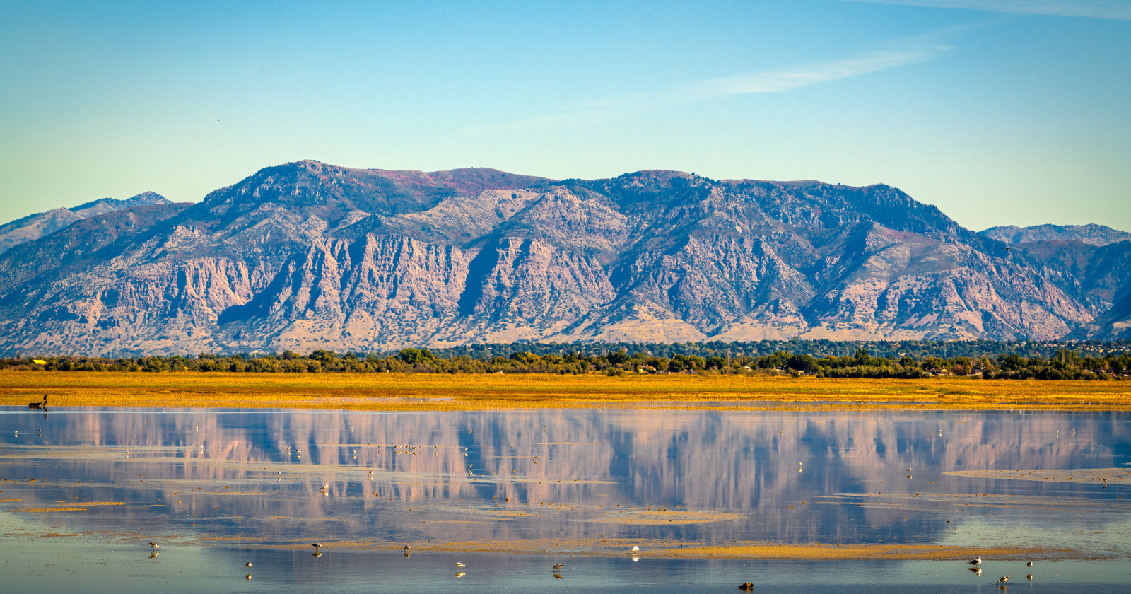 The Great Salt Lake is drying up, and as it pulls back it uncovers hundreds of square miles of lakebed laced with arsenic, sitting directly upwind of more than two million people