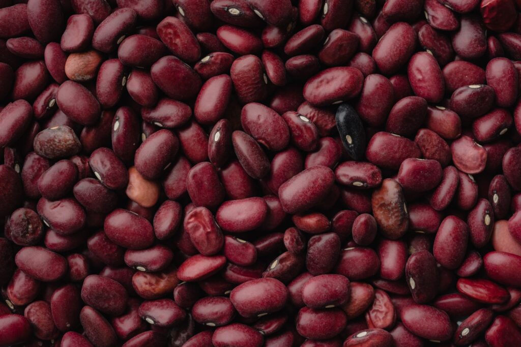 A raw kidney bean contains enough phytohaemagglutinin to hospitalise an adult after just four or five beans — and boiling for ten minutes is the only reliable way to destroy it