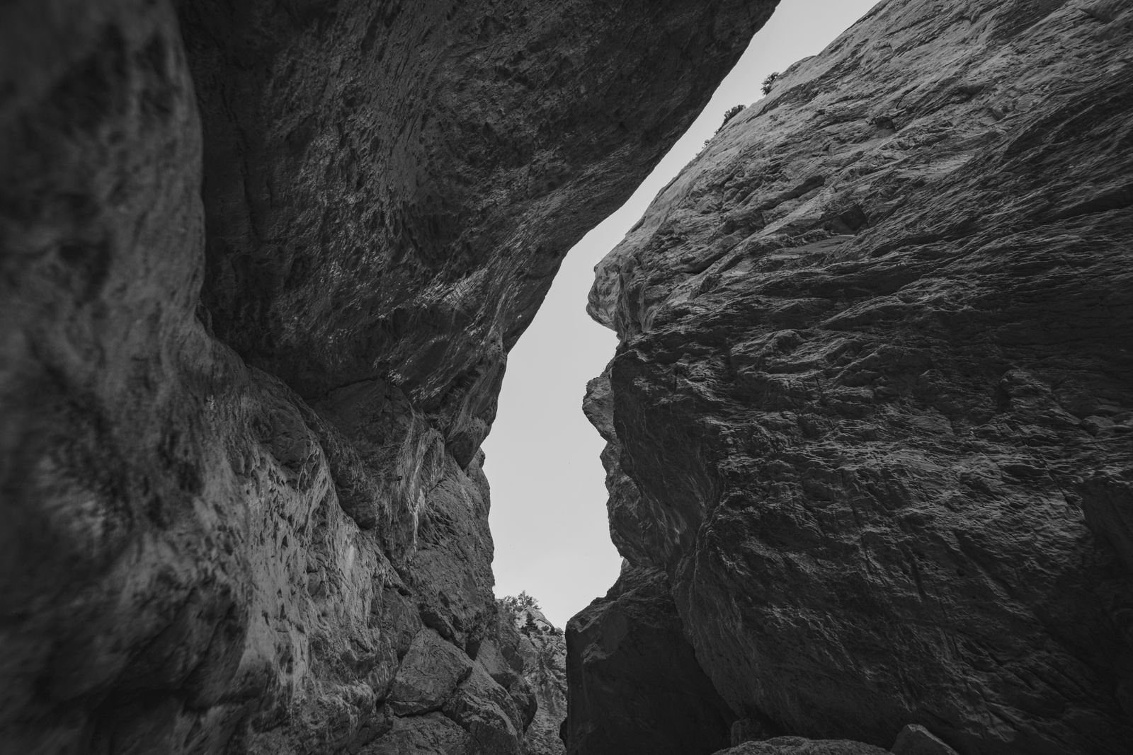 Blue Mountains sandstone canyon