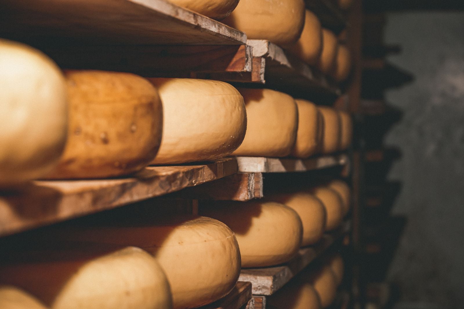 cheese wheels aging shelves