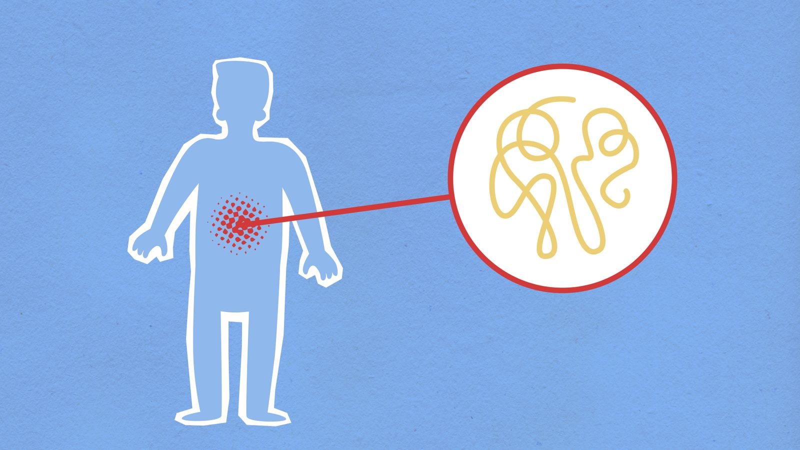 enteric nervous system illustration