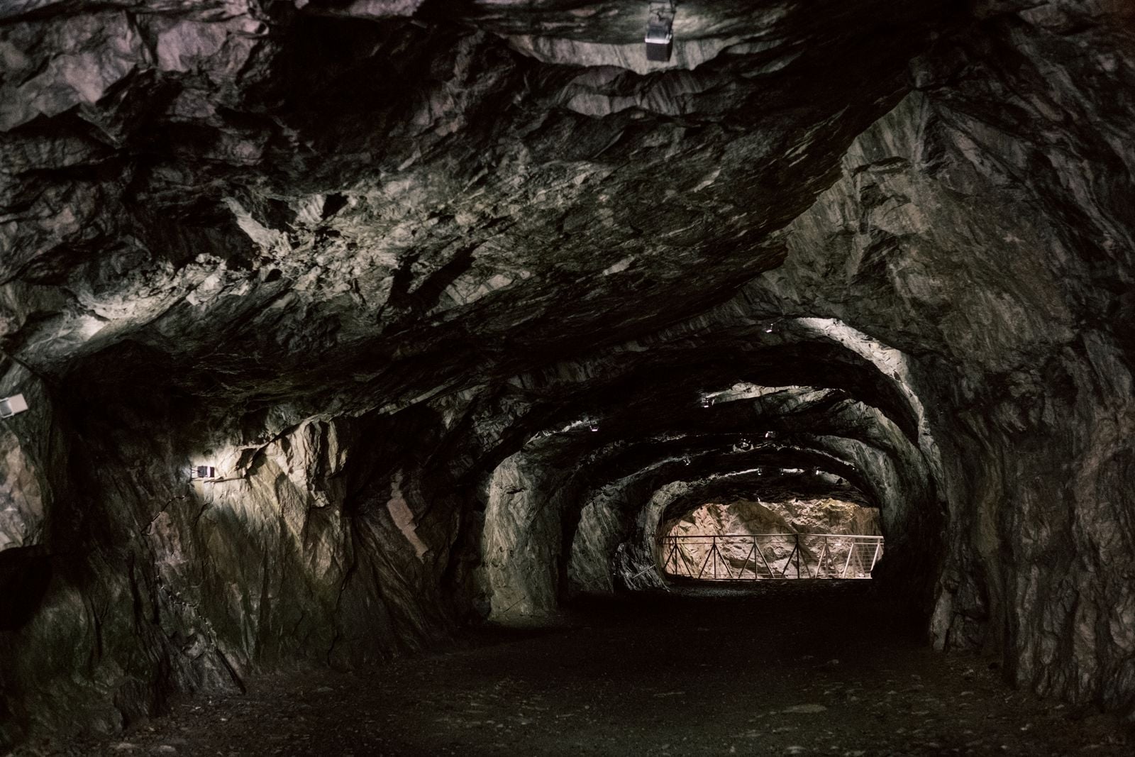 In a cave 18 metres below the surface at Movile in Romania, sealed off from the outside world for 5.5 million years, biologists have found 48 species that live on hydrogen sulphide and have never seen