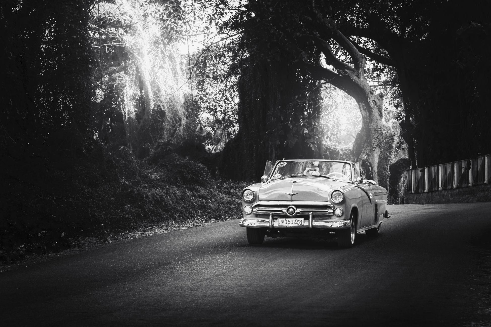 Black and white photo of a vintage convertible car driving on a forest road.