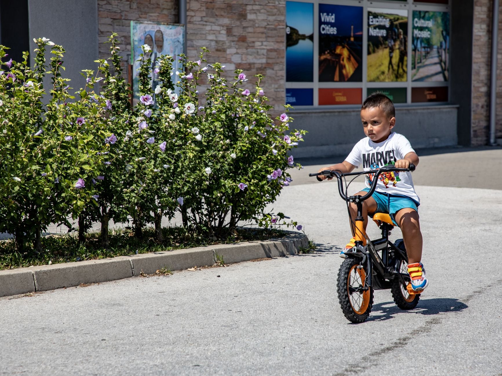 A young boy riding a bicycle near flowers on a sunny street.