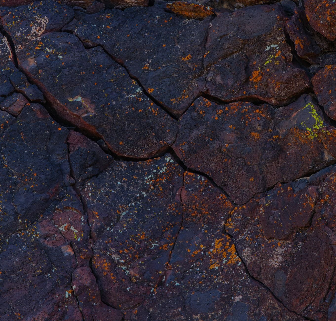 A detailed view of a textured, multi-colored rock surface showing natural erosion patterns.