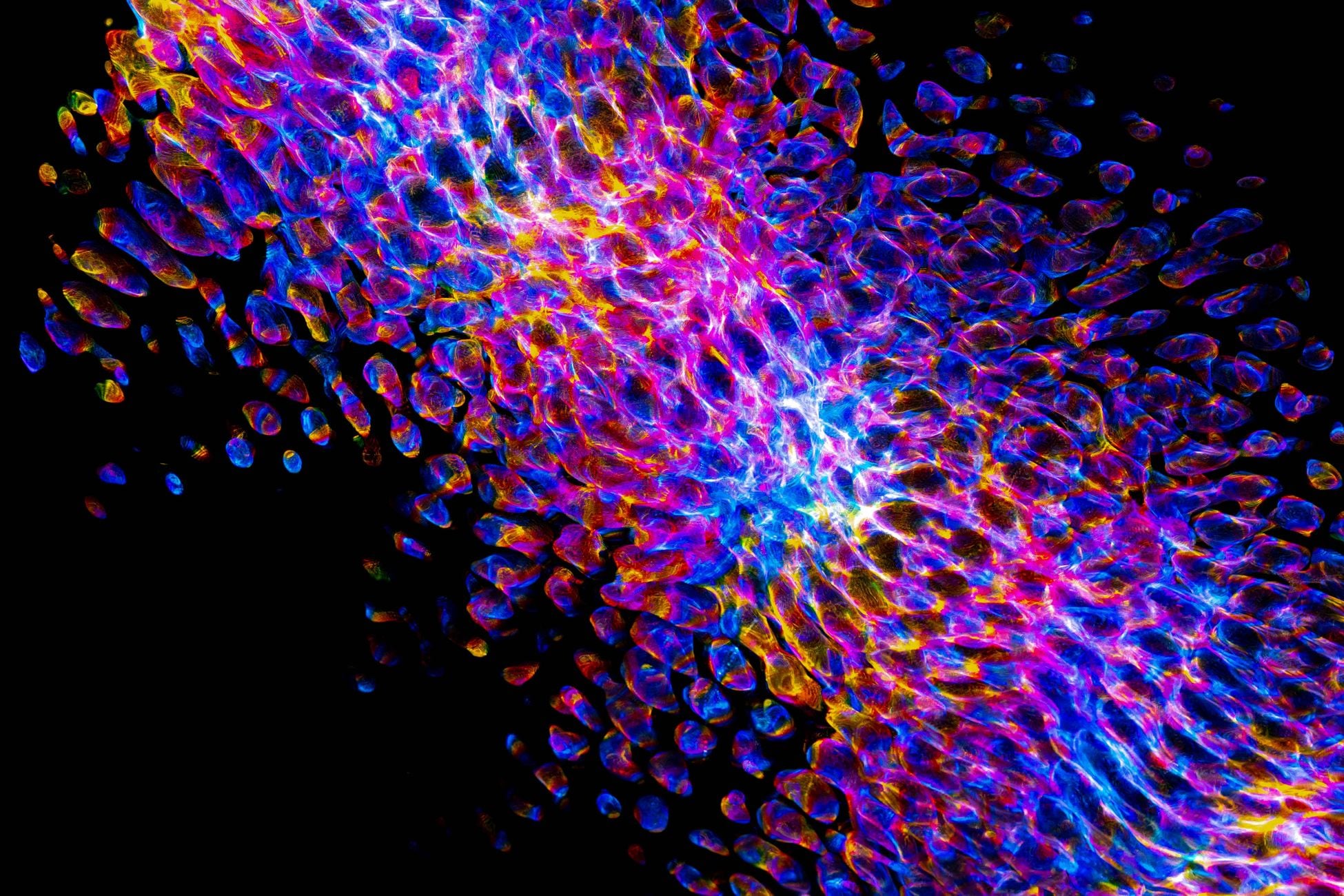 Dynamic abstract artwork with vibrant colors and unique textures, ideal for backgrounds or modern designs.